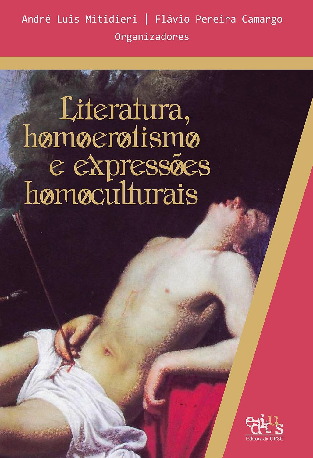 capítulo por capítulo baixar Literatura, homoerotismo e expressões homoculturais