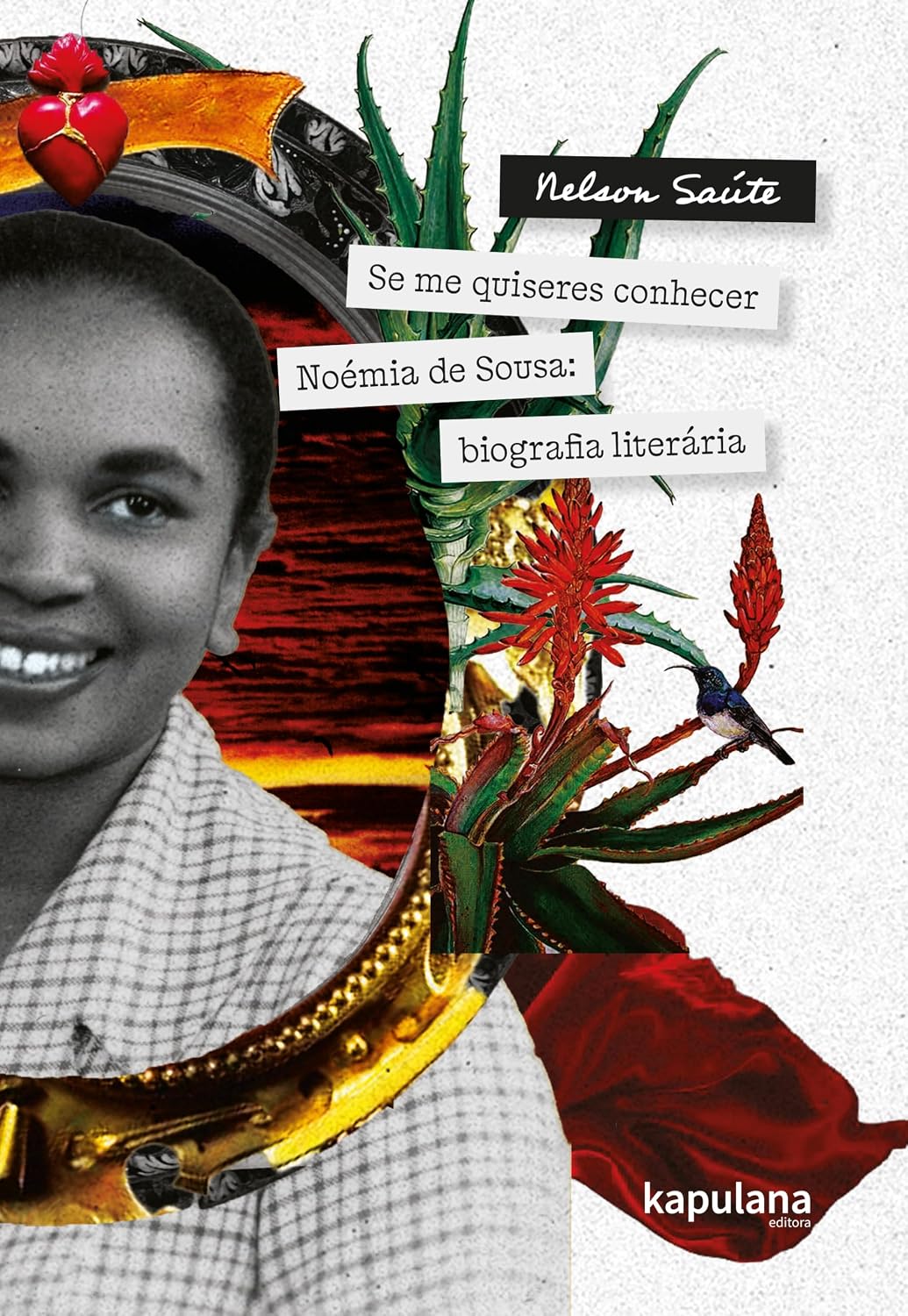 SE ME QUISERES CONHECER - NOÉMIA DE SOUSA: BIOGRAFIA LITERÁRIA baixar o livro de graça