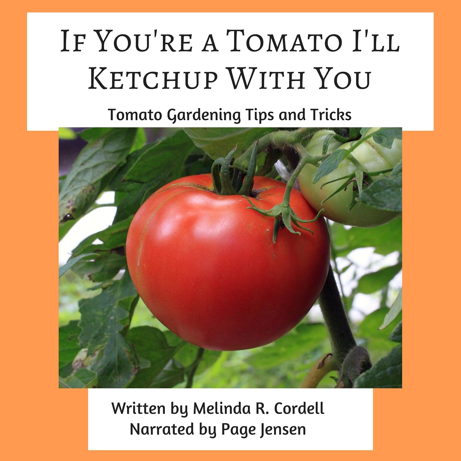 If You're a Tomato I'll Ketchup With You: Tomato Gardening Tips and Tricks: Easy-Growing Gardening Series, Book 3 baixar o livro de graça