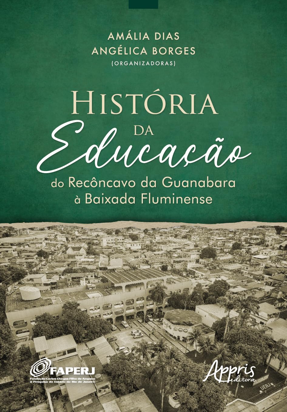História da educação do Recôncavo da Guanabara à Baixada Fluminense baixar livro de graça