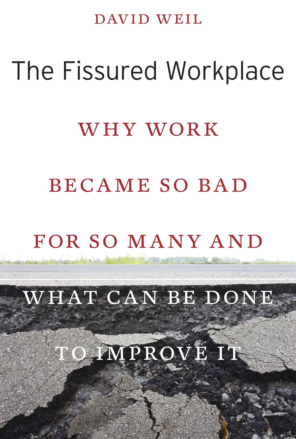 The Fissured Workplace: Why Work Became So Bad for So Many and What Can Be Done to Improve It (English Edition) baixar o livro de graça