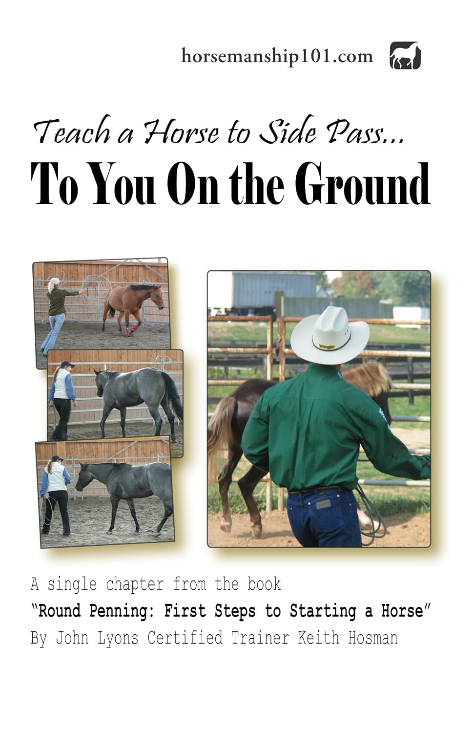 Teach a Horse to Side Pass to You on the Ground (Round Penning Book 14) (English Edition) baixar livro de graça