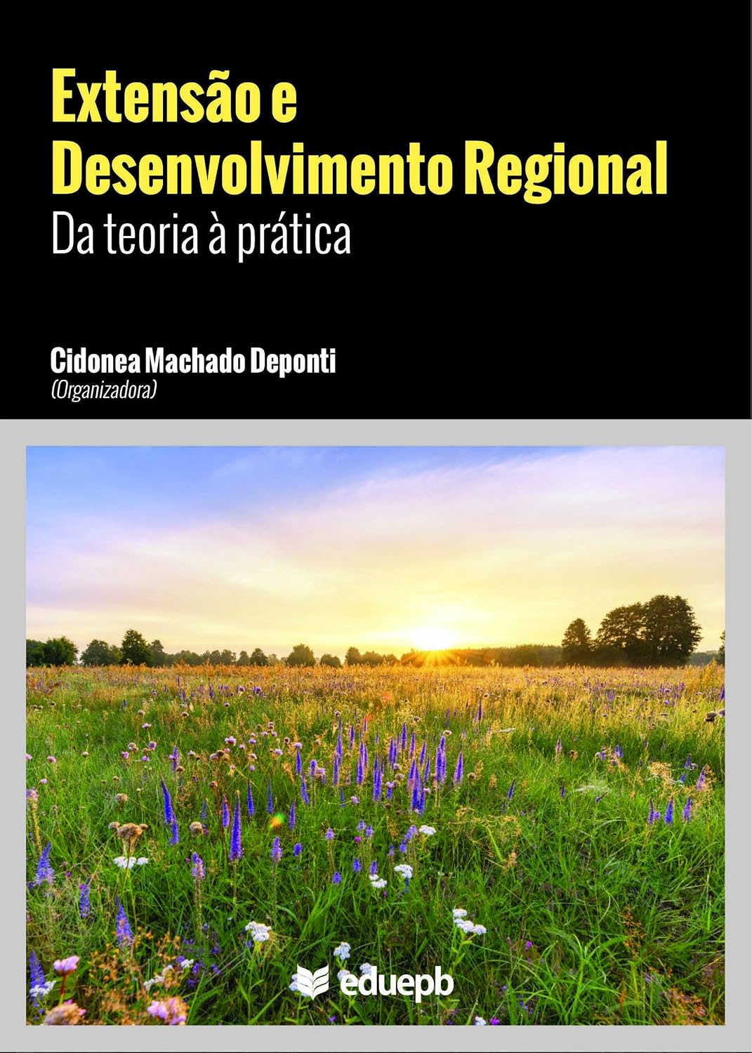 Extensão e desenvolvimento regional: da teoria à prática baixar o livro de graça