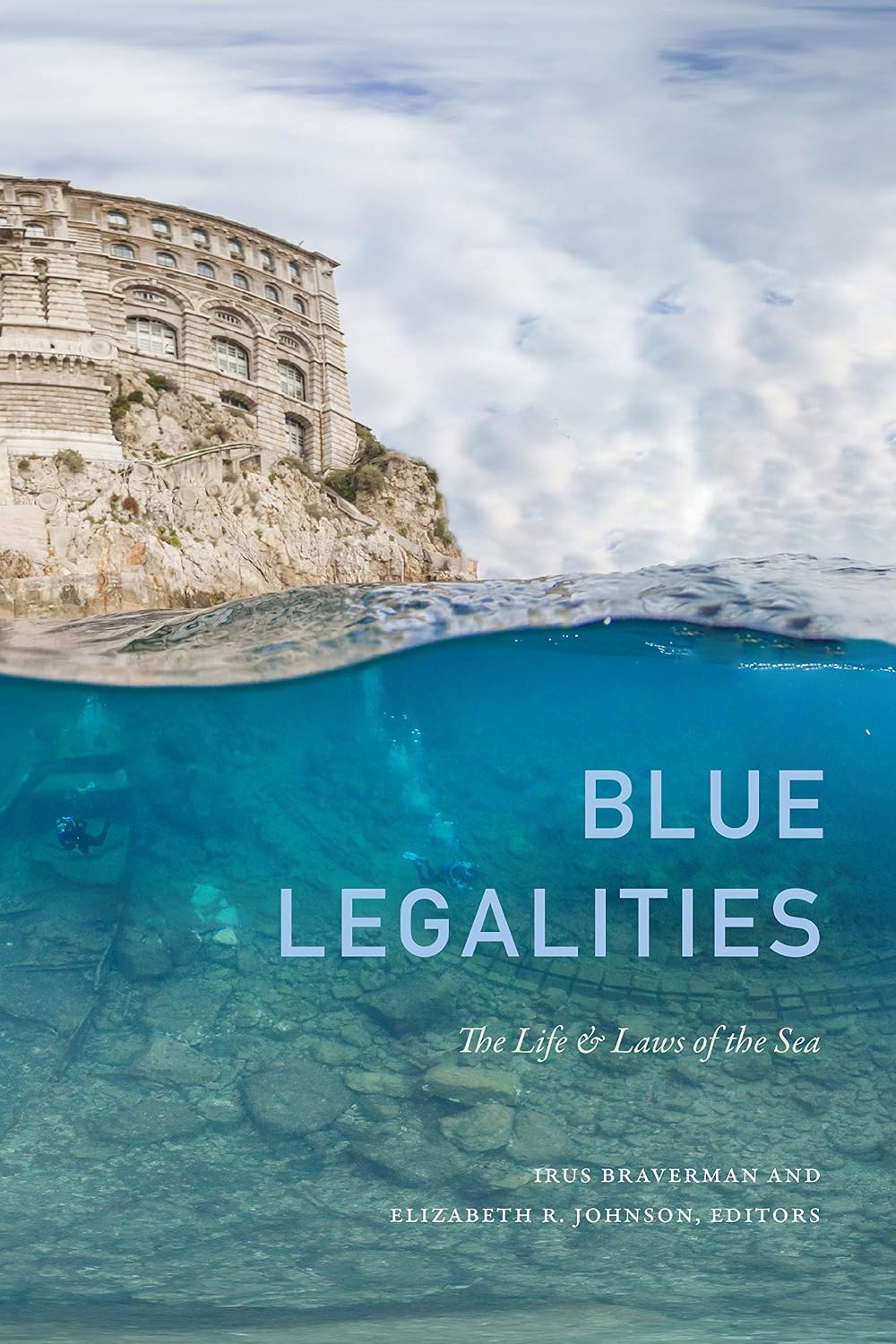 ler totalmente Blue Legalities: The Life and Laws of the Sea (English Edition)
