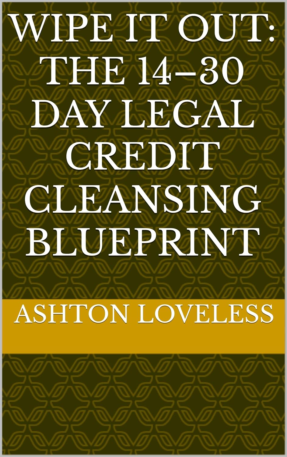 ler totalmente WIPE IT OUT: The 14–30 Day Legal Credit Cleansing Blueprint (English Edition)