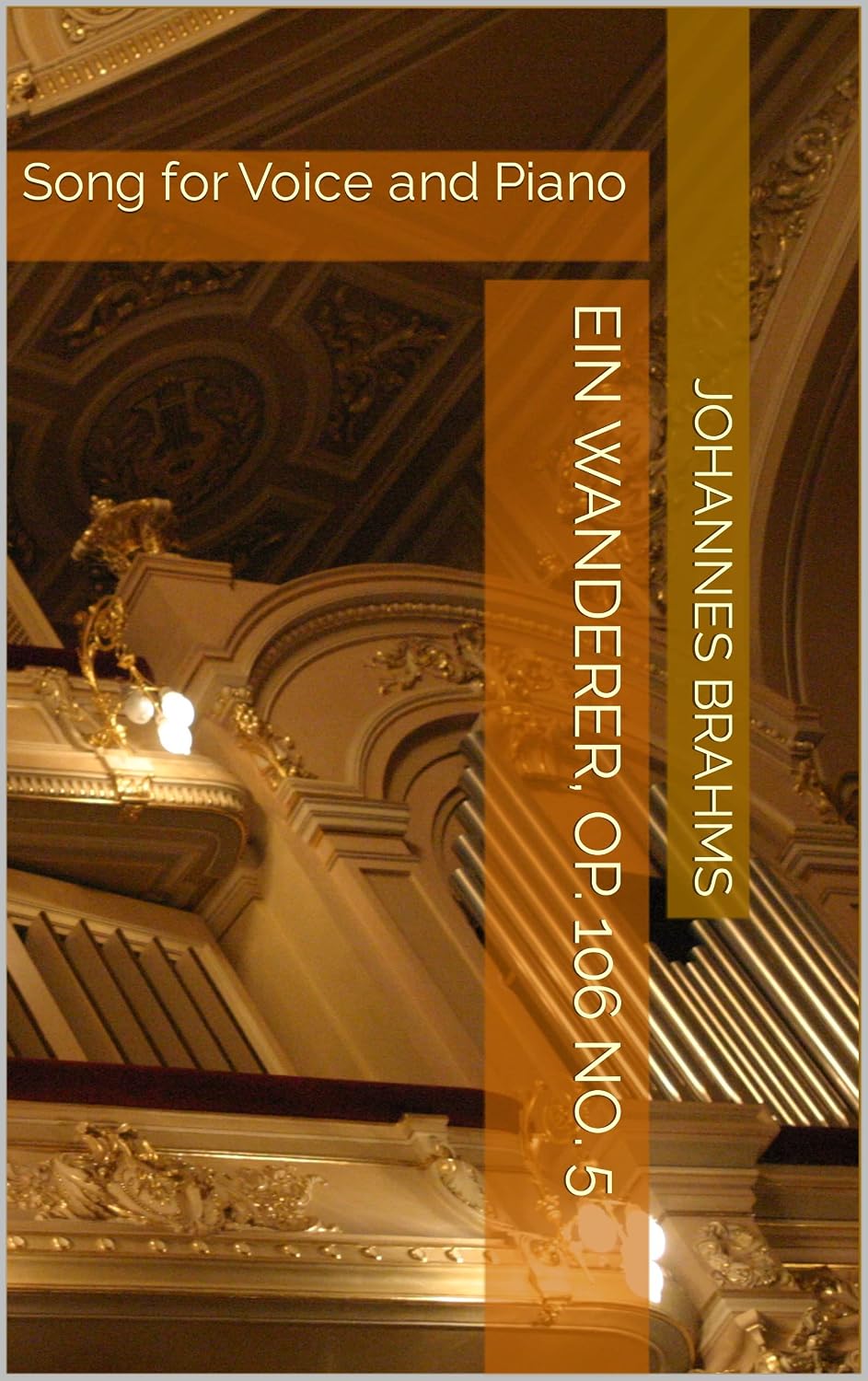 Ein Wanderer, Op. 106 No. 5: Song for Voice and Piano (German Edition) baixar o livro de graça