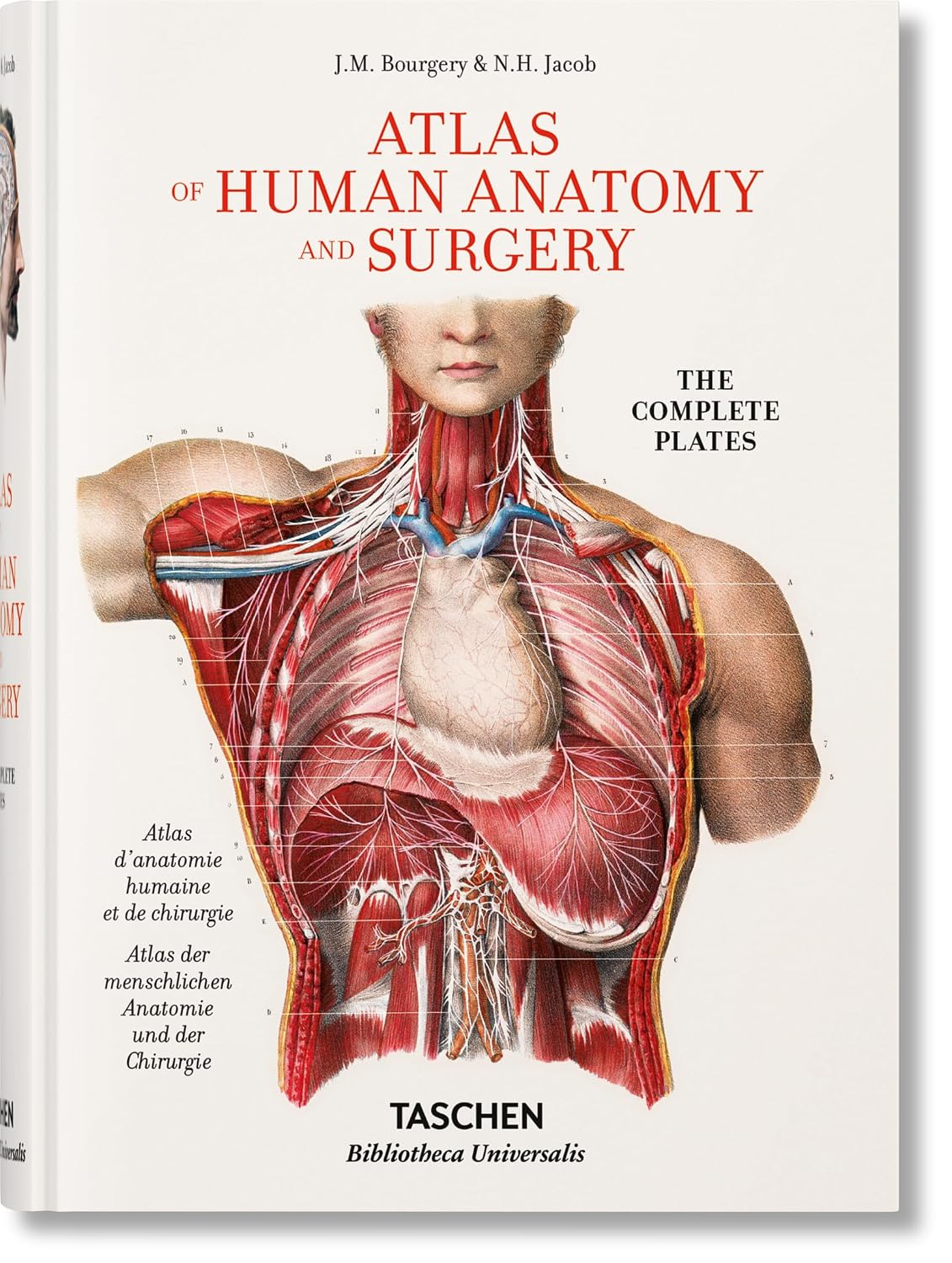 ler totalmente Bourgery: Atlas of Human Anatomy and Surgery