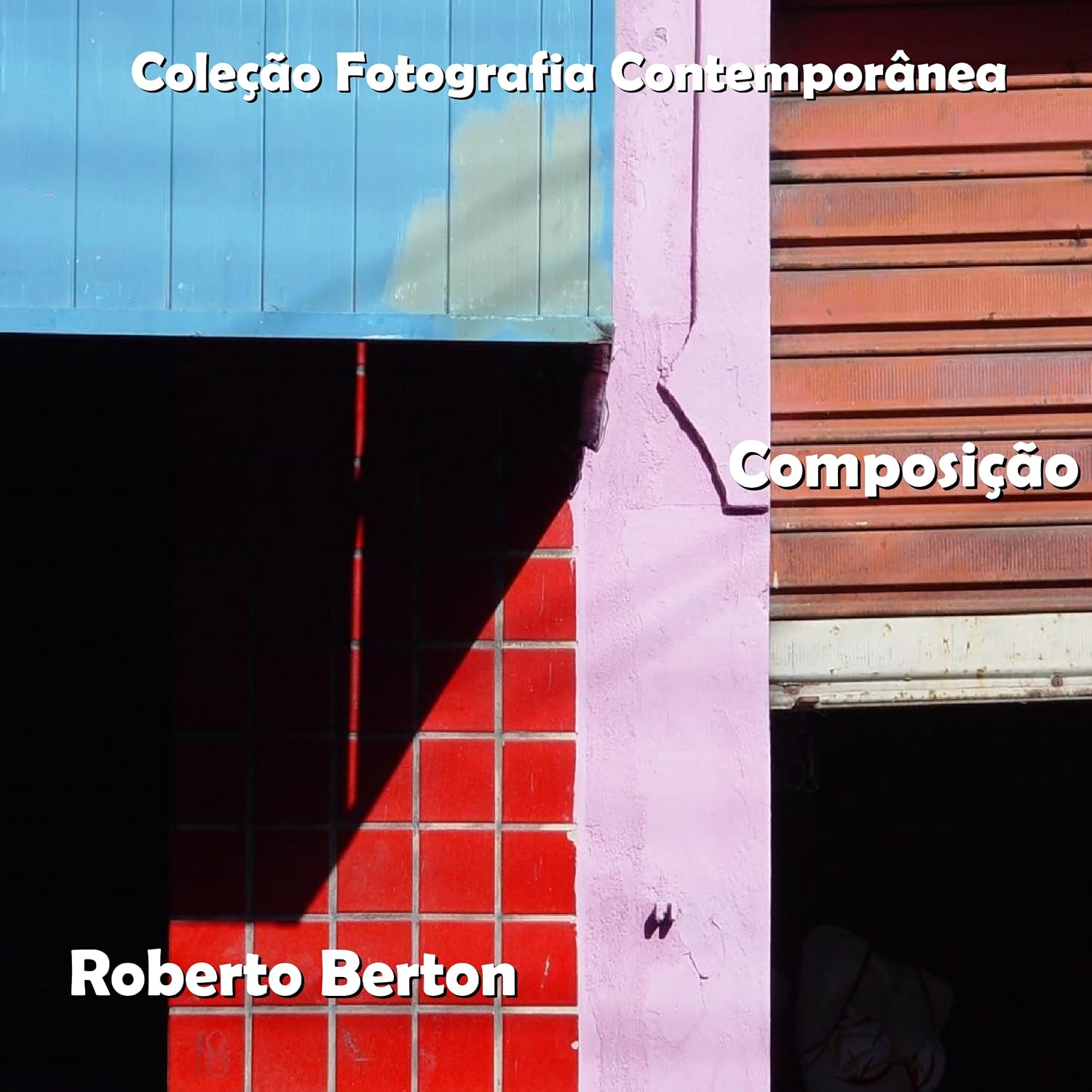 ler totalmente Composição (Coleção Fotografia Contemporânea Livro 1)