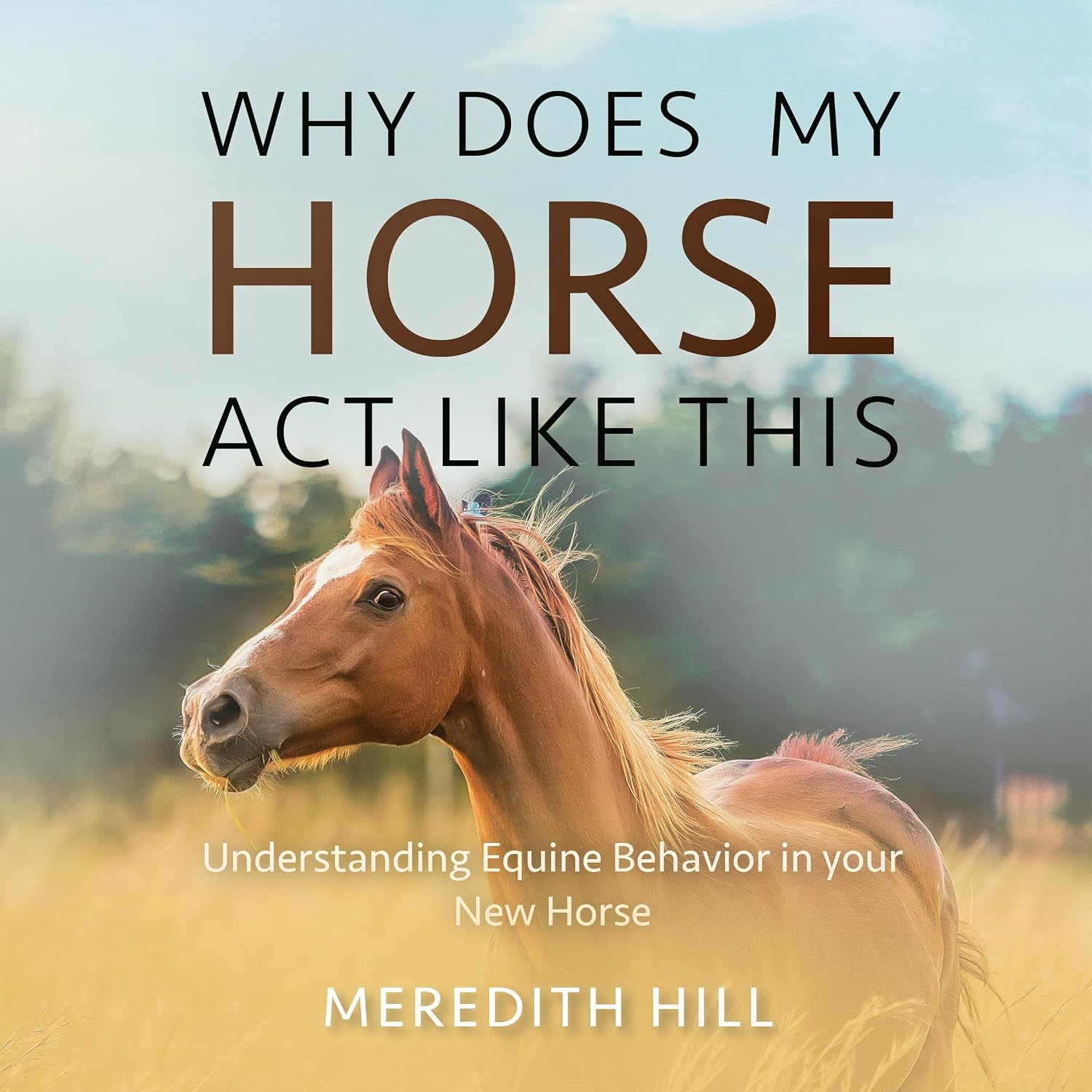 Why Does My Horse Act Like This?: Understanding Equine Behavior in Your New Horse baixar livro de graça