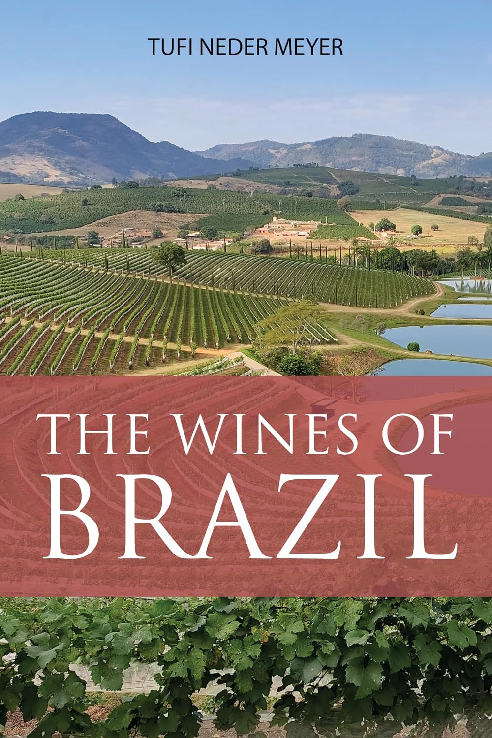 capítulo por capítulo baixar The Wines of Brazil (The Classic Wine Library) (English Edition)