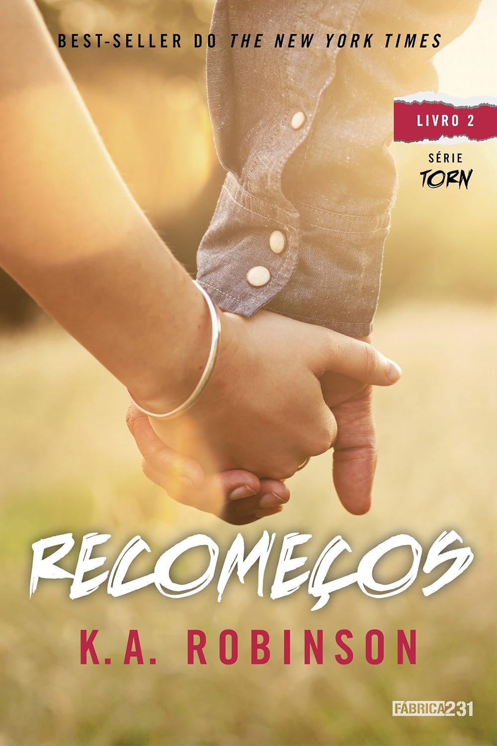 Recomeços (Torn Livro 2) baixar livro de graça