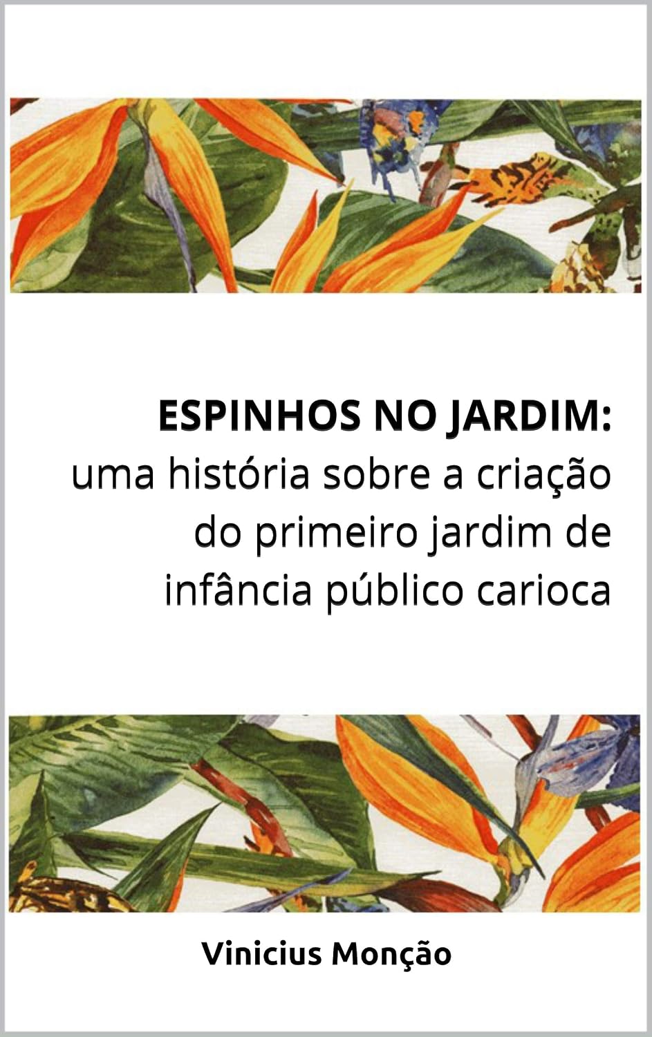 capítulo por capítulo baixar ESPINHOS NO JARDIM: uma história sobre a criação do primeiro jardim de infância público carioca: Uma história sobre a criação do primeiro jardim de infância público carioca