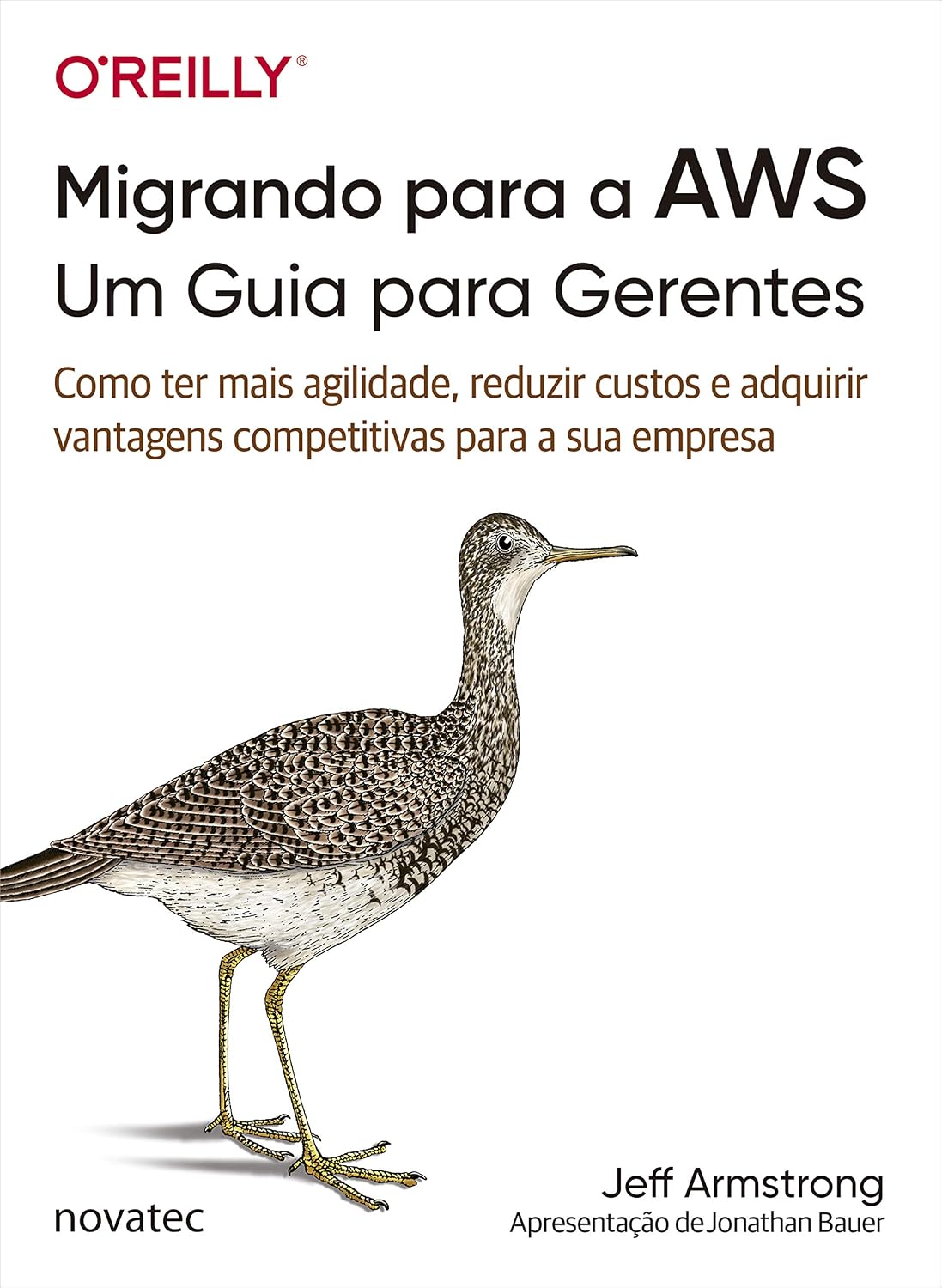 Migrando para a AWS: Um Guia para Gerentes: Como ter mais agilidade, reduzir custos e adquirir vantagens competitivas para a sua empresa baixar o livro de graça