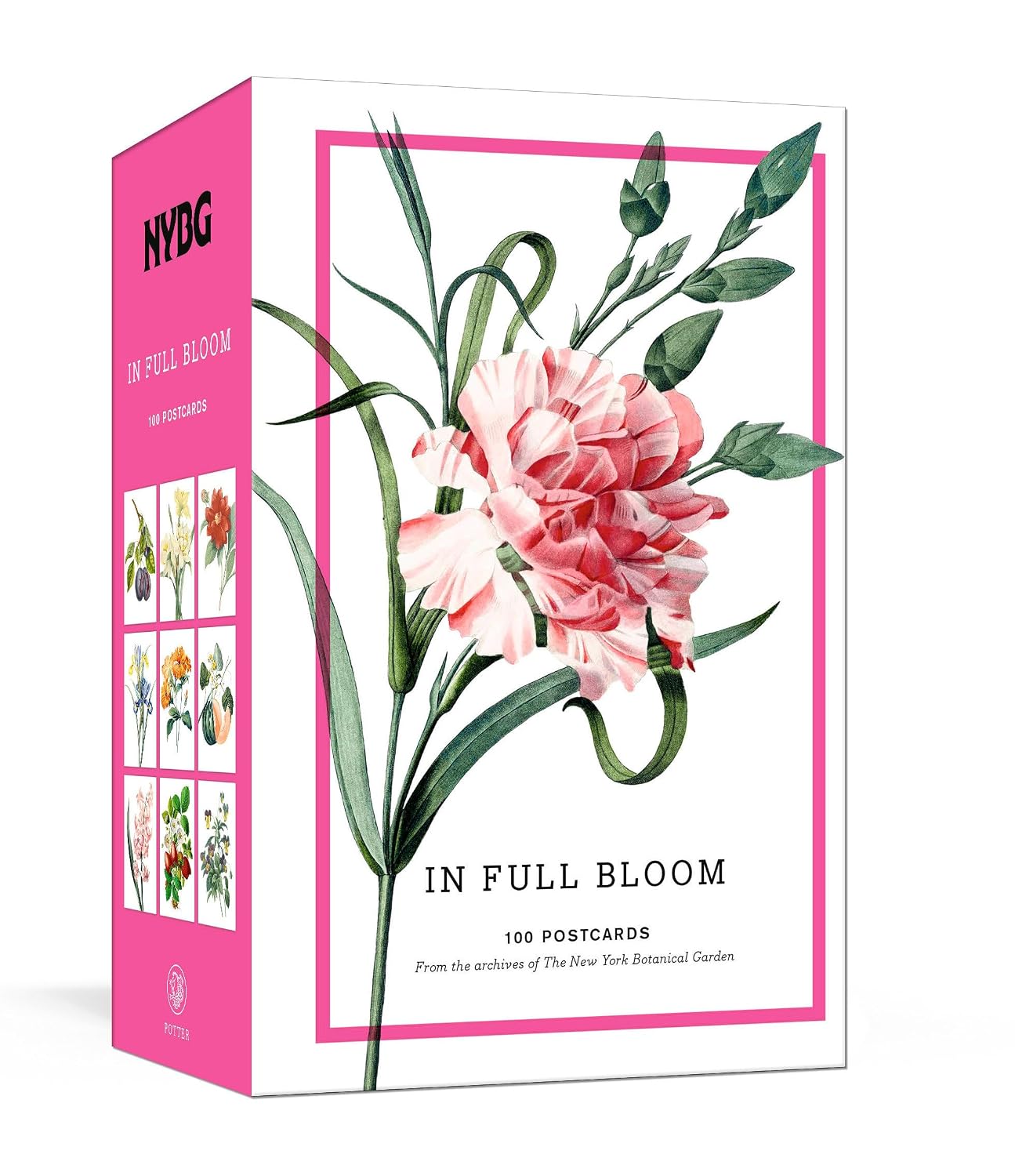 New York Botanical Garden: In Full Bloom Postcards: 100 Postcards from the Archives of the New York Botanical Garden baixar o livro de graça