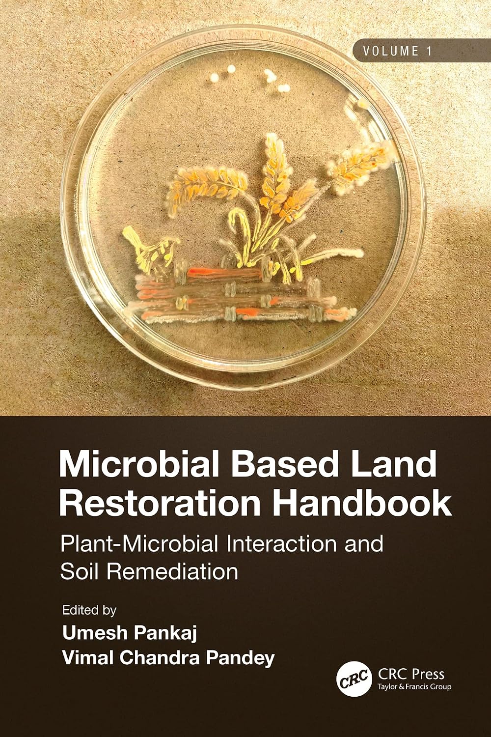 Microbial Based Land Restoration Handbook, Volume 1: Plant-Microbial Interaction and Soil Remediation (English Edition) baixar o livro de graça