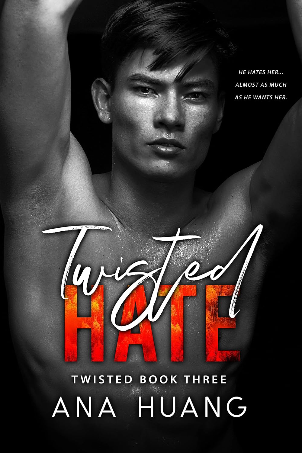 Twisted Hate (English Edition)