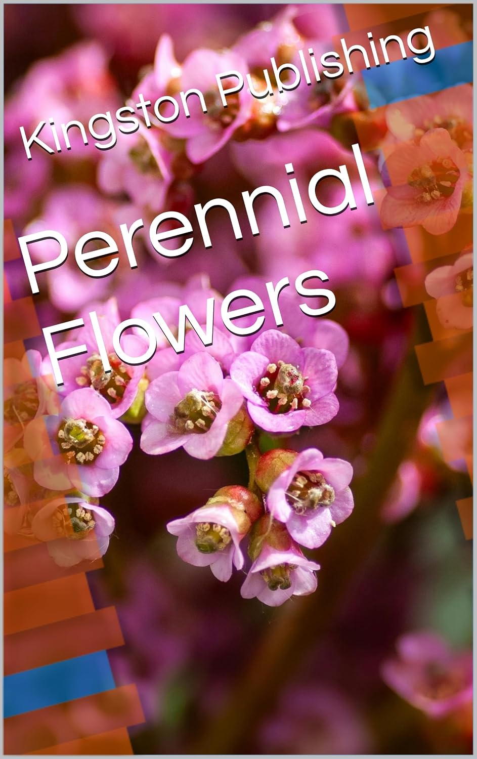 Perennial Flowers (Growing Potted Flowers) (English Edition) baixar o livro de graça
