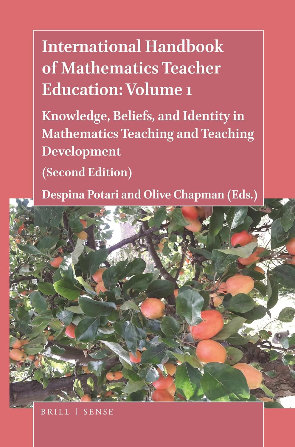 International Handbook of Mathematics Teacher Education: Volume 1: Knowledge, Beliefs, and Identity in Mathematics Teaching and Teaching Development (Second Edition) baixar livro de graça