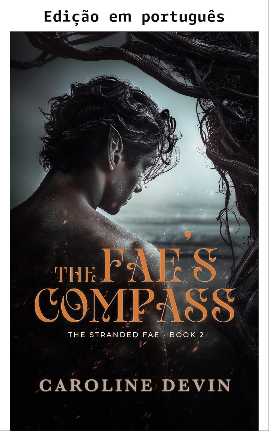 ler totalmente A bússola do Fae (Os Fae encalhados Livro 2)