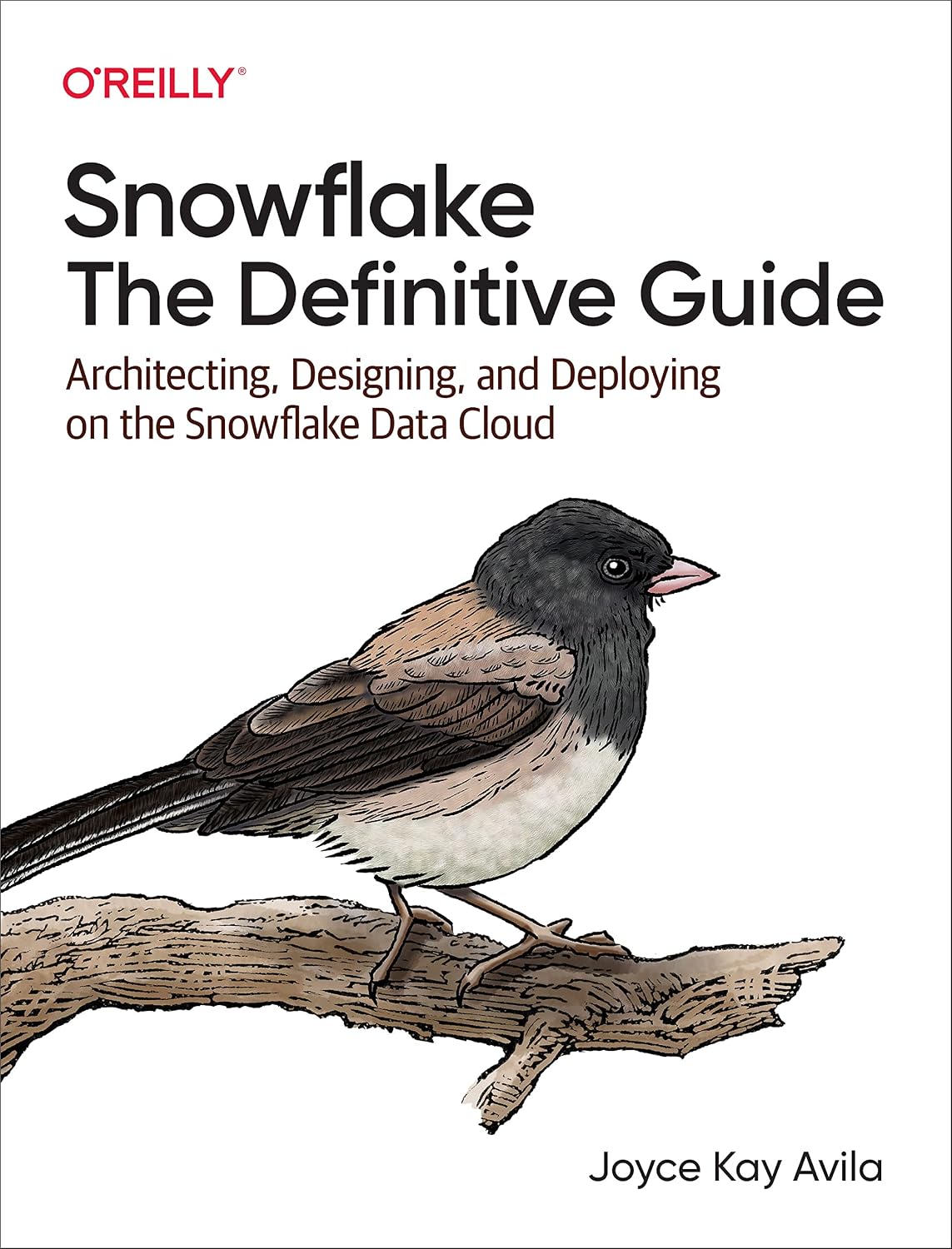 capítulo por capítulo baixar Snowflake: The Definitive Guide: Architecting, Designing, and Deploying on the Snowflake Data Cloud