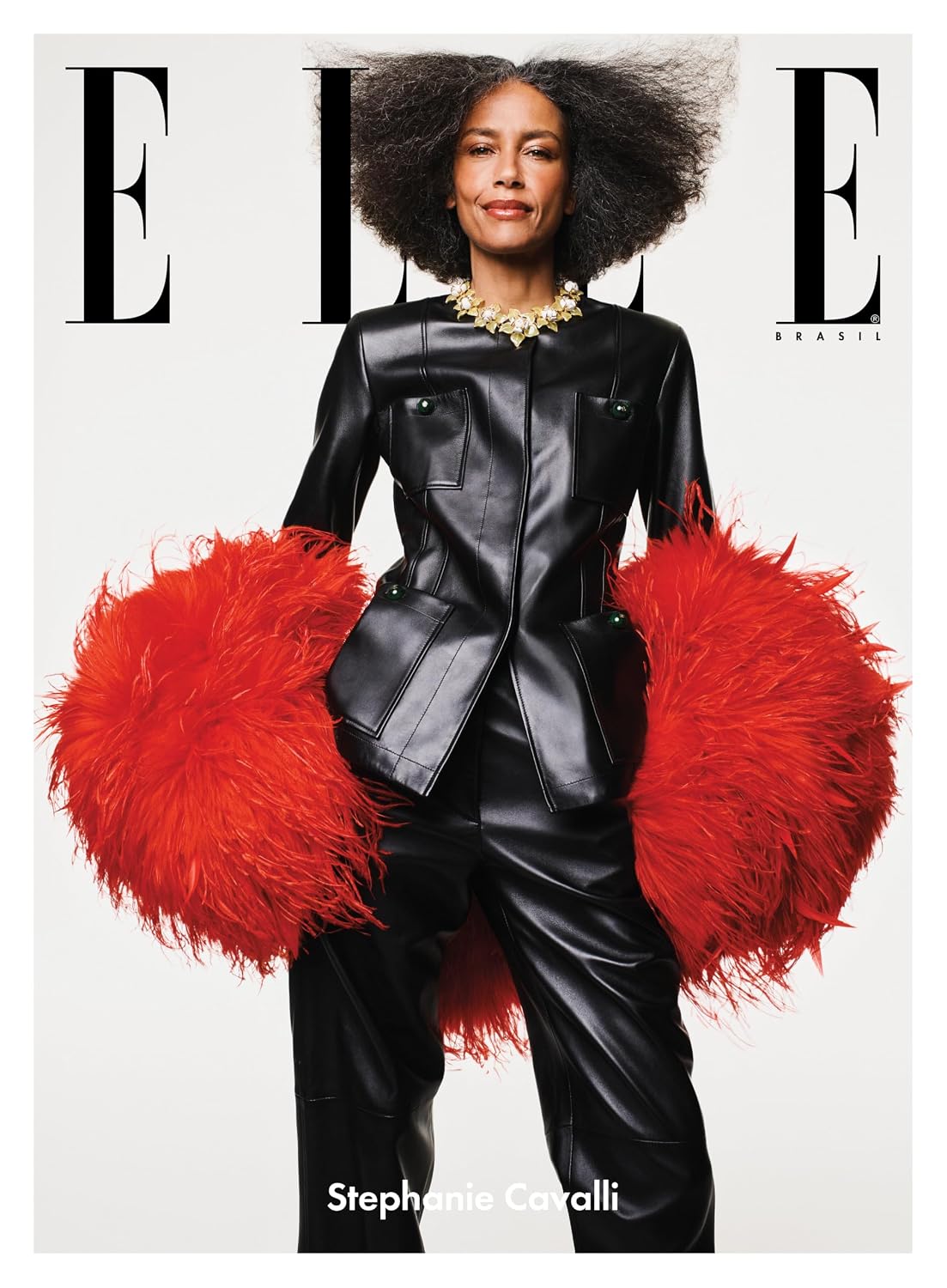 ELLE Brasil Vol. 24: Capa 01 - Stephanie Cavalli: 1 baixar livro de graça