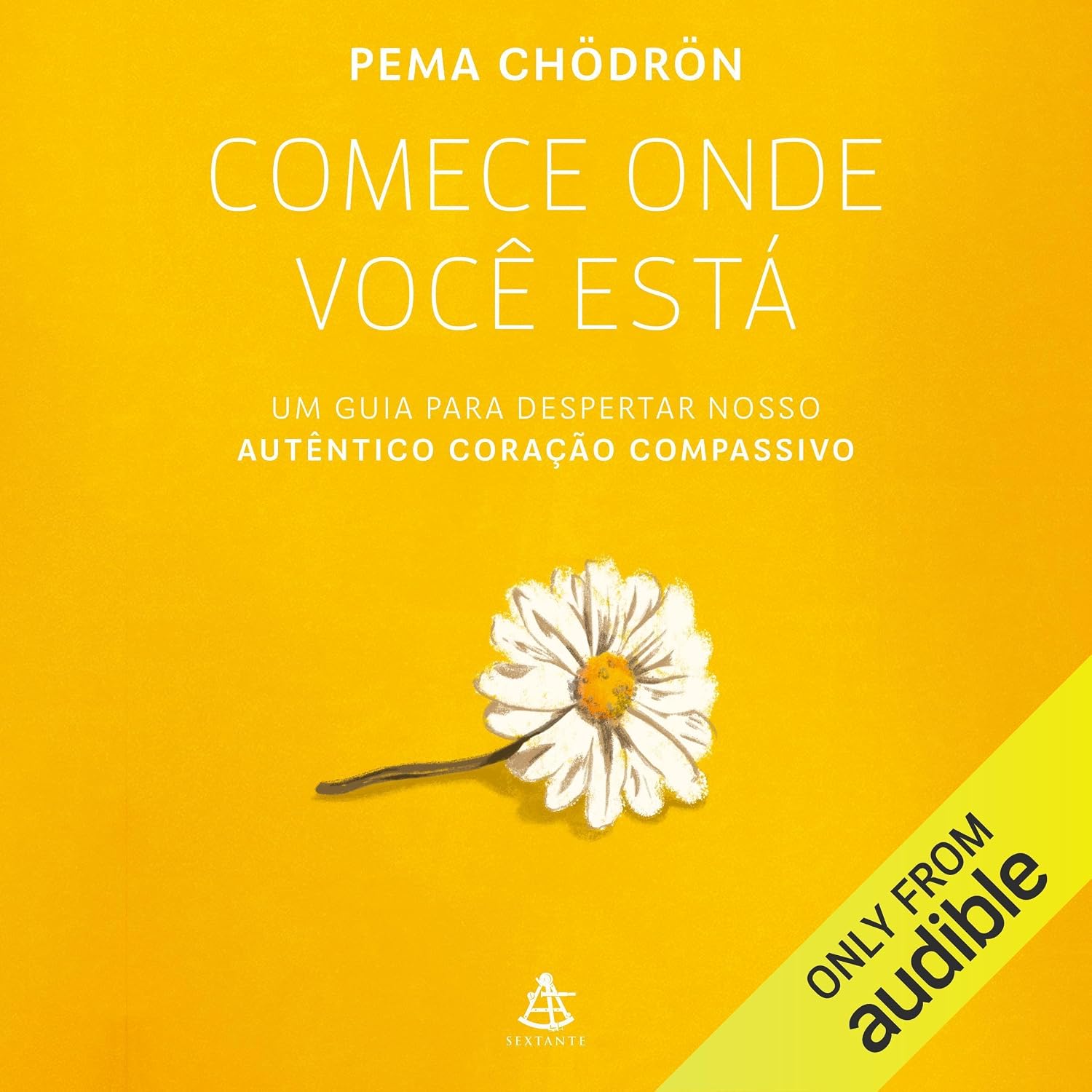 Comece onde você está: Um guia para despertar nosso autêntico coração compassivo baixar o livro de graça