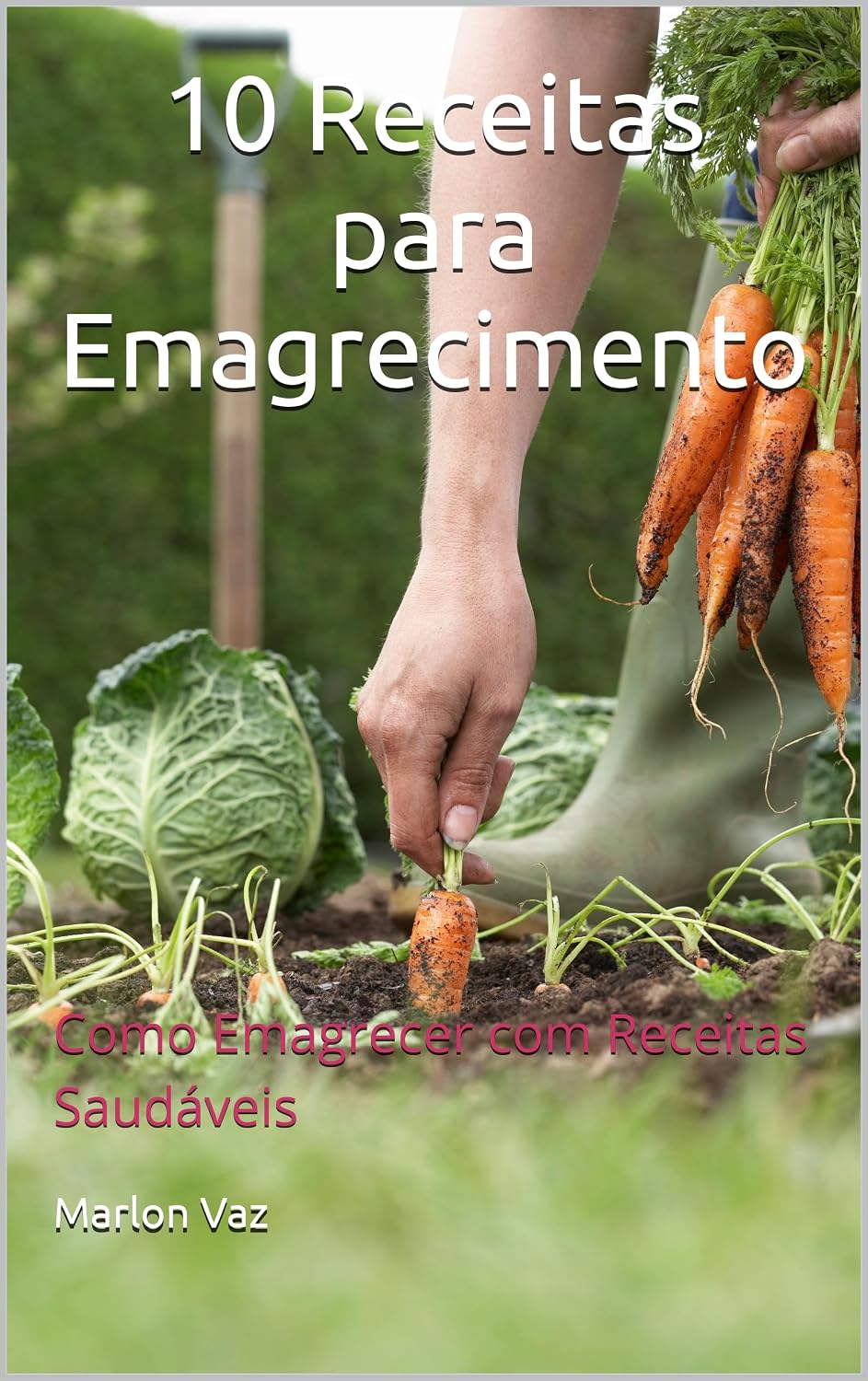 ler totalmente 10 Receitas para Emagrecimento: Como Emagrecer com Receitas Saudáveis