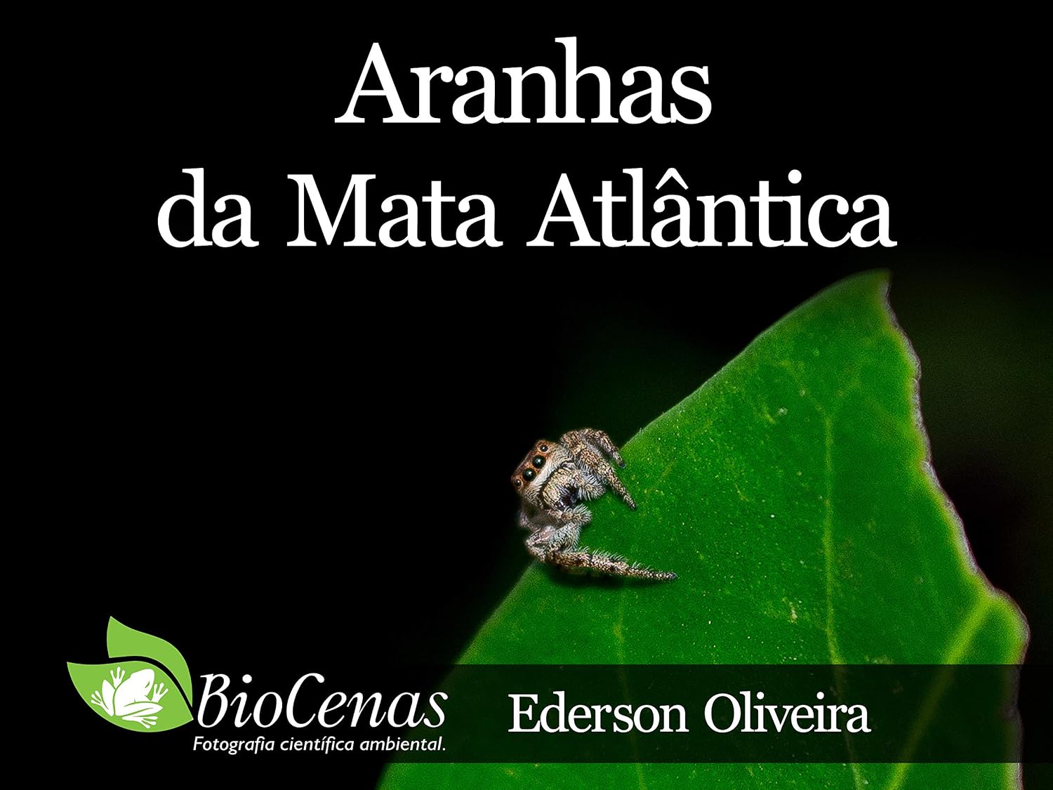 ler totalmente Aranhas da Mata Atlântica