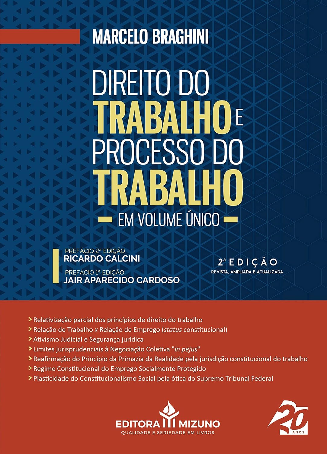 Direito do Trabalho e Processo do Trabalho em Edição único (Edição 2): Volume 2