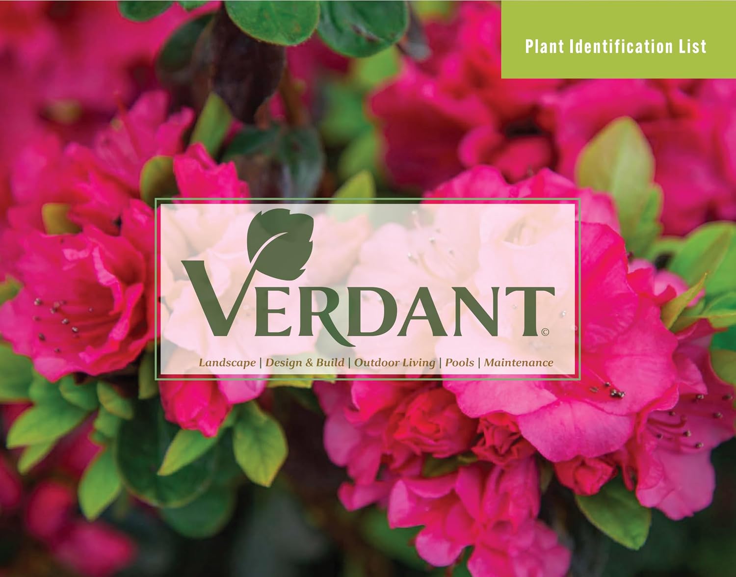 Plant Identification Guide by Verdant Landscape (English Edition) baixar livro de graça