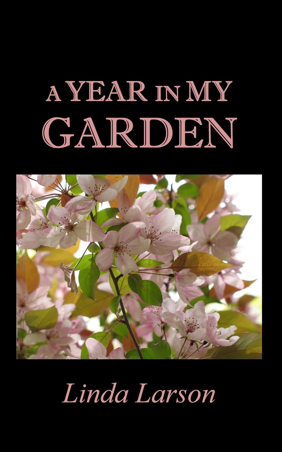 A Year In My Garden (English Edition) baixar livro de graça