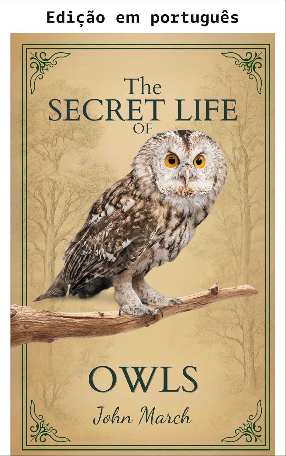 A vida secreta das corujas (A vida secreta de...) baixar o livro de graça