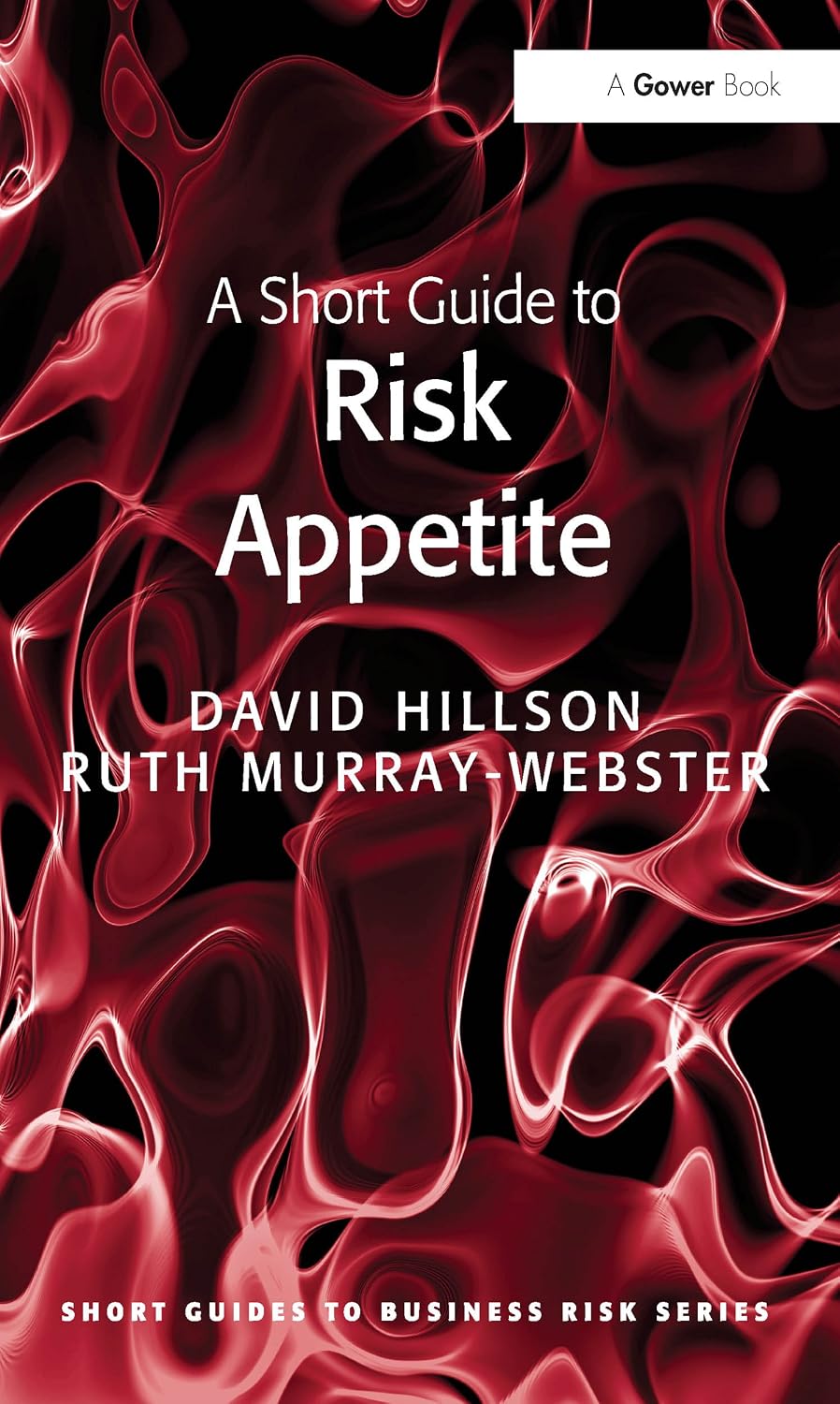 A Short Guide to Risk Appetite (Short Guides to Business Risk) (English Edition) baixar livro de graça