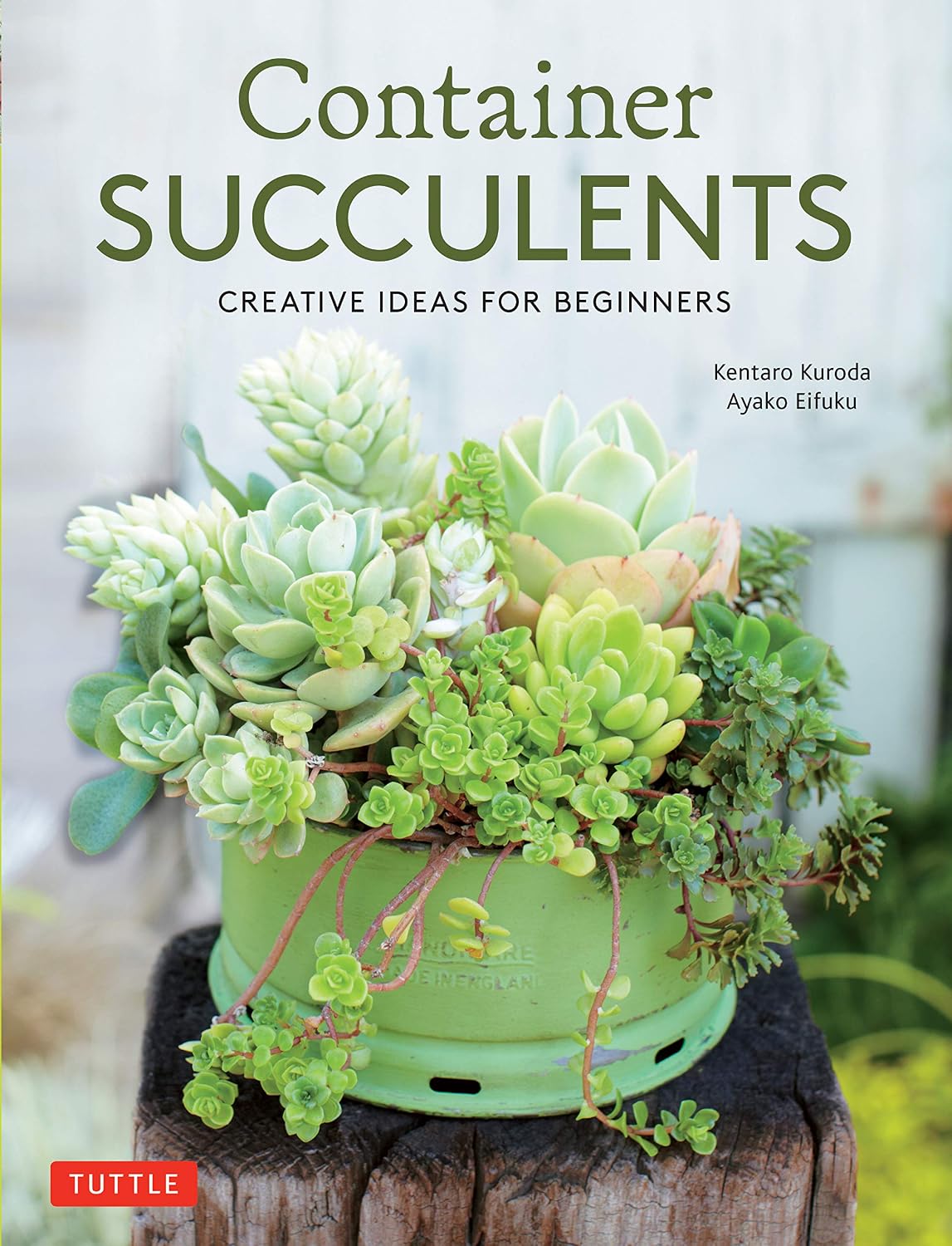 Container Succulents: Creative Ideas for Beginners (English Edition) baixar livro de graça