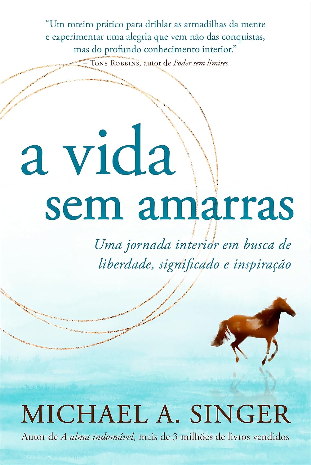 A vida sem amarras: Uma jornada interior em busca de liberdade, significado e inspiração baixar livro de graça