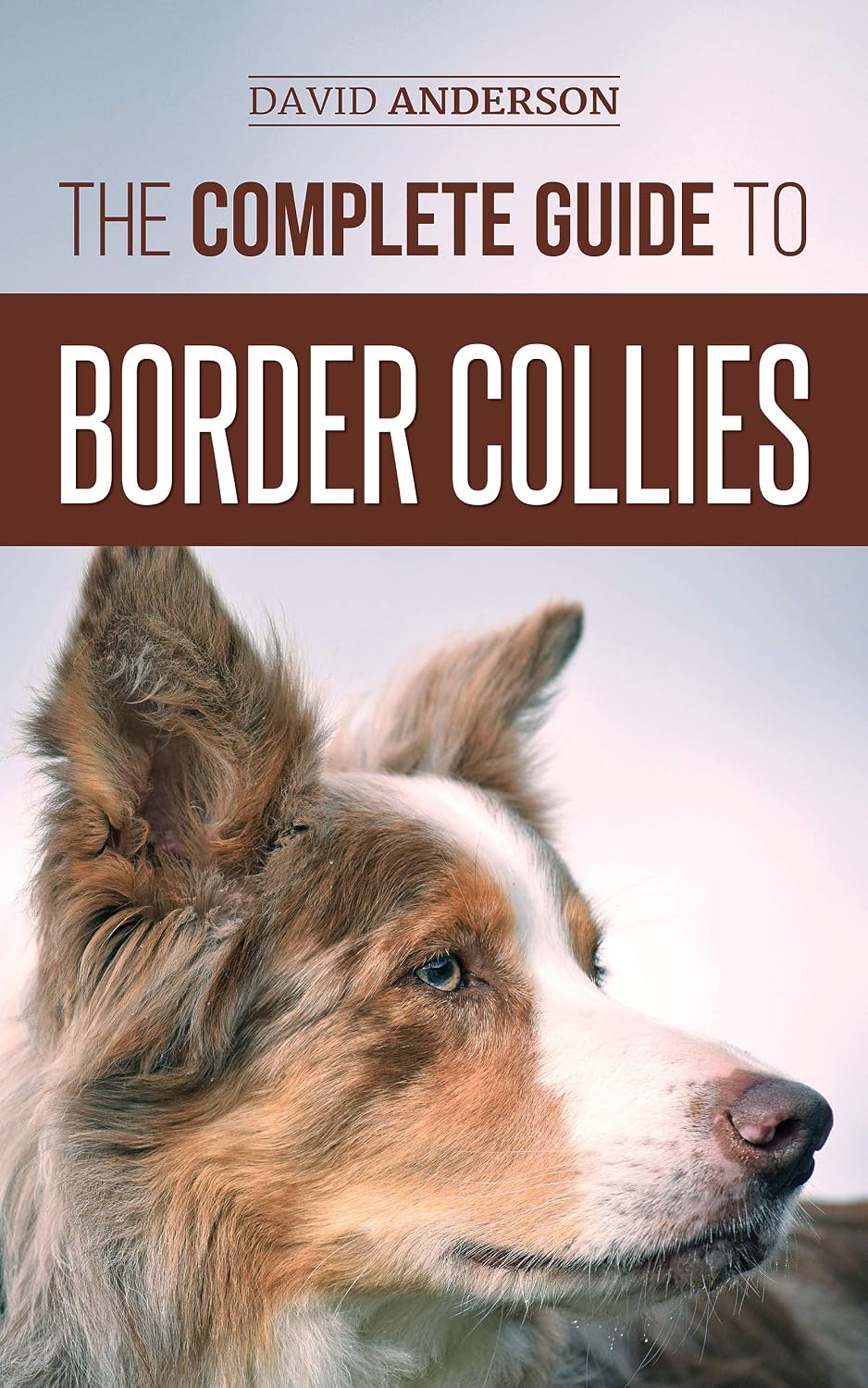 The Complete Guide to Border Collies: Training, teaching, feeding, raising, and loving your new Border Collie puppy (English Edition) baixar livro de graça