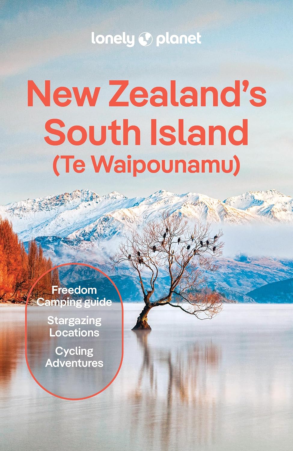 Lonely Planet New Zealand's South Island (Travel Guide) (English Edition)