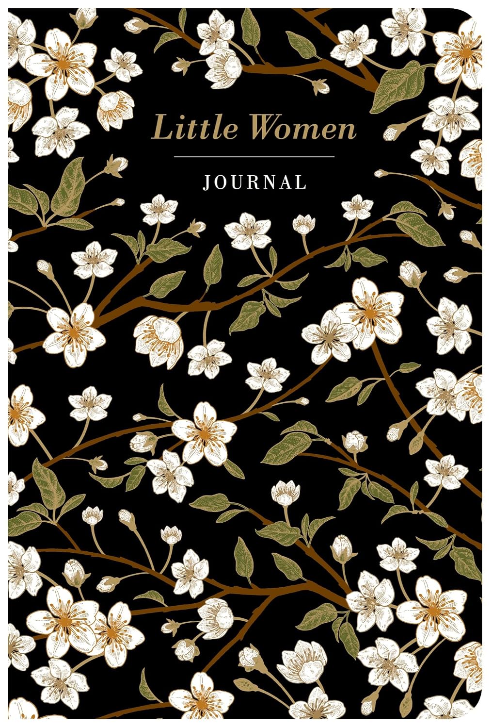 Little Women Journal - Lined baixar livro de graça