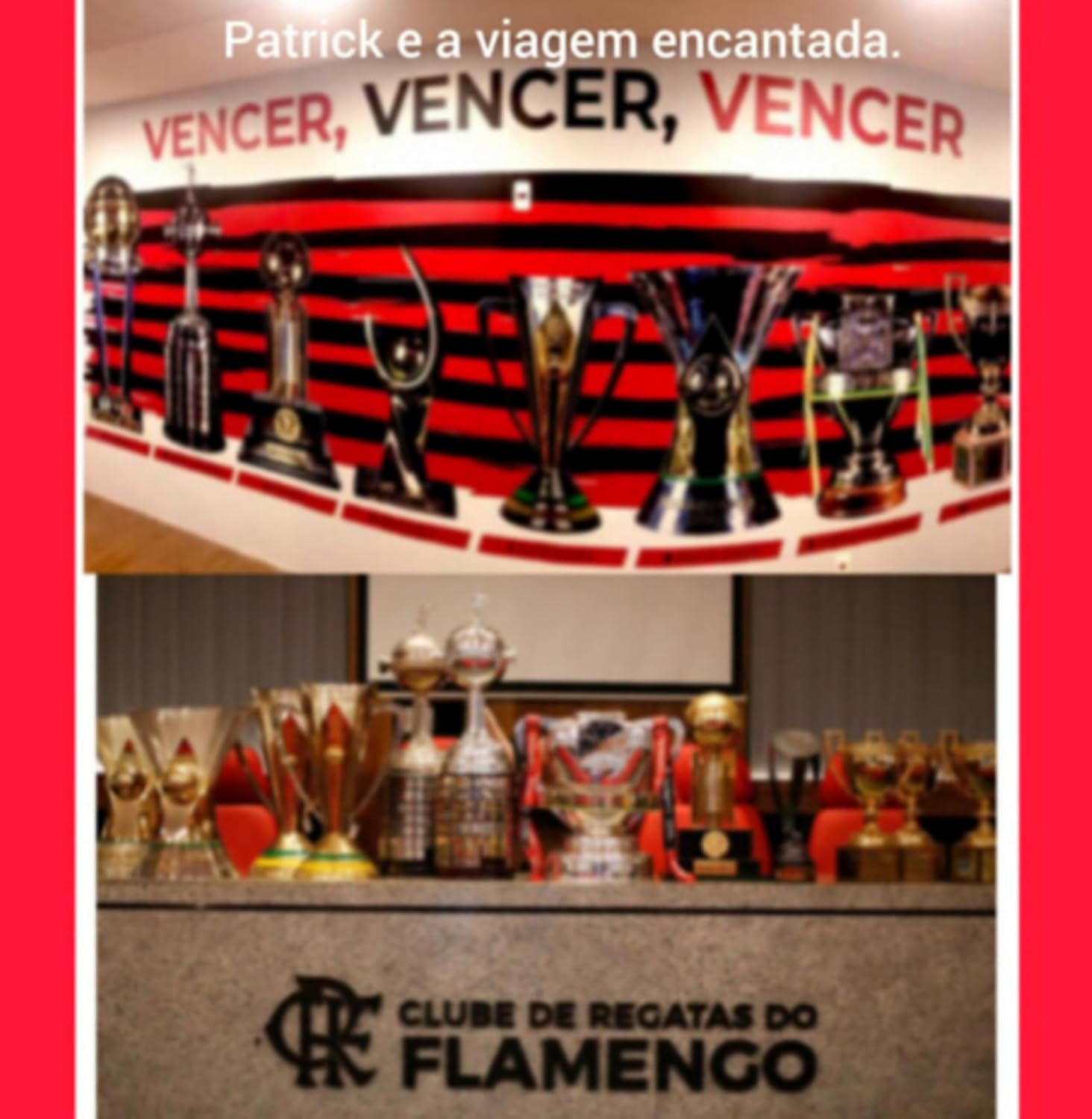 ler totalmente A Sala De Troféus Do Flamengo.