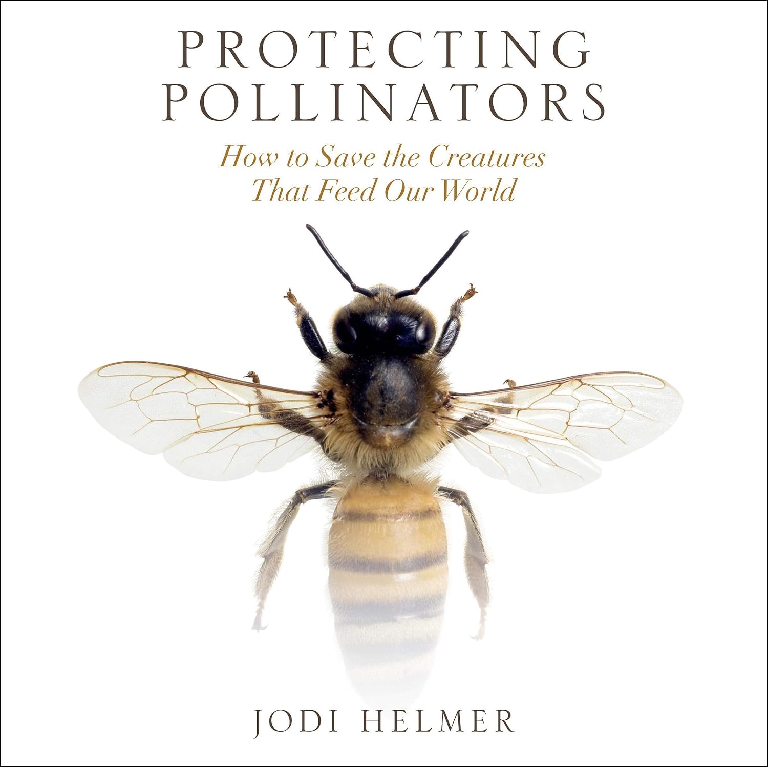 Protecting Pollinators: How to Save the Creatures That Feed Our World baixar o livro de graça