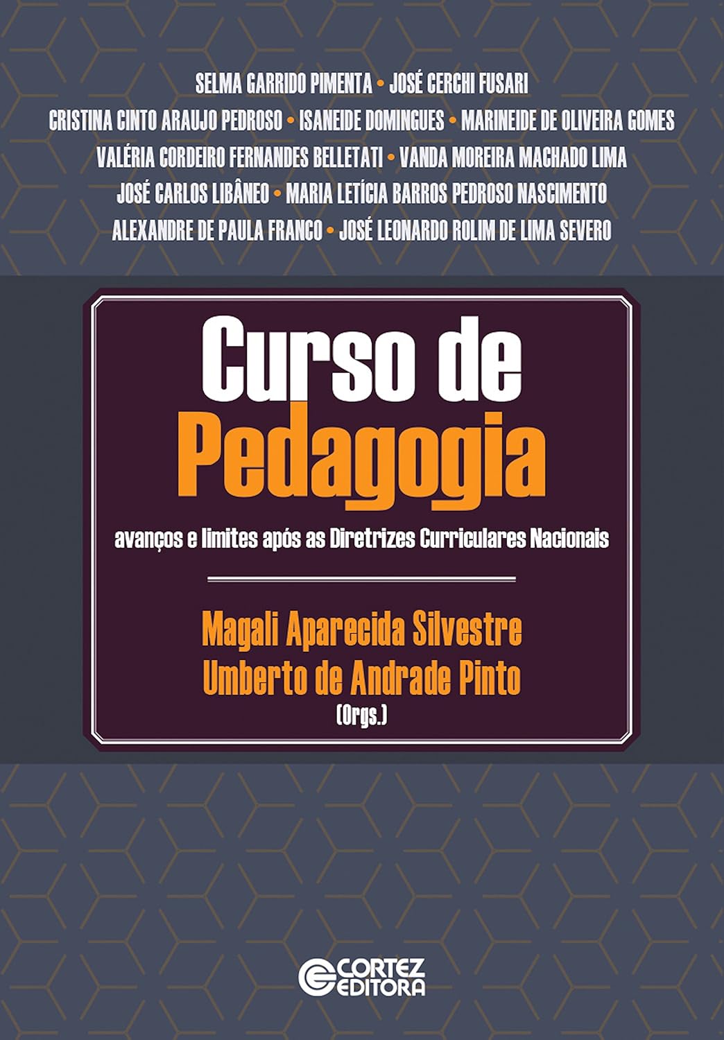 Curso de pedagogia: Avanços e limites após as Diretrizes Curriculares Nacionais baixar o livro de graça