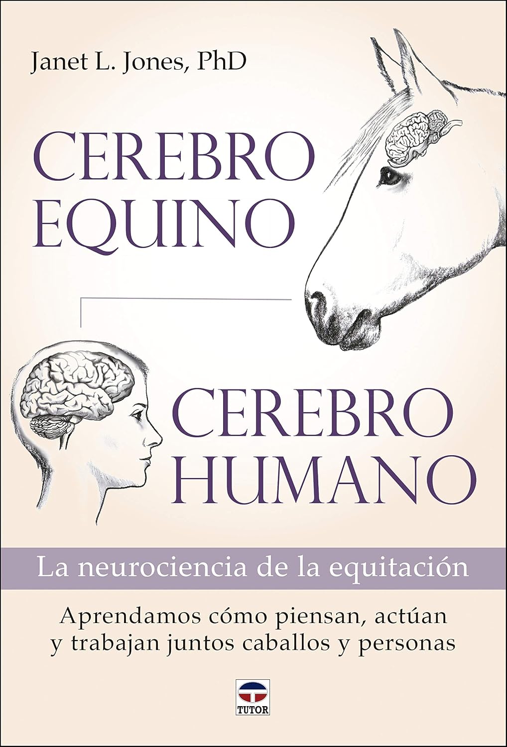 Cerebro equino, cerebro humano: La neurociencia de la equitación baixar o livro de graça