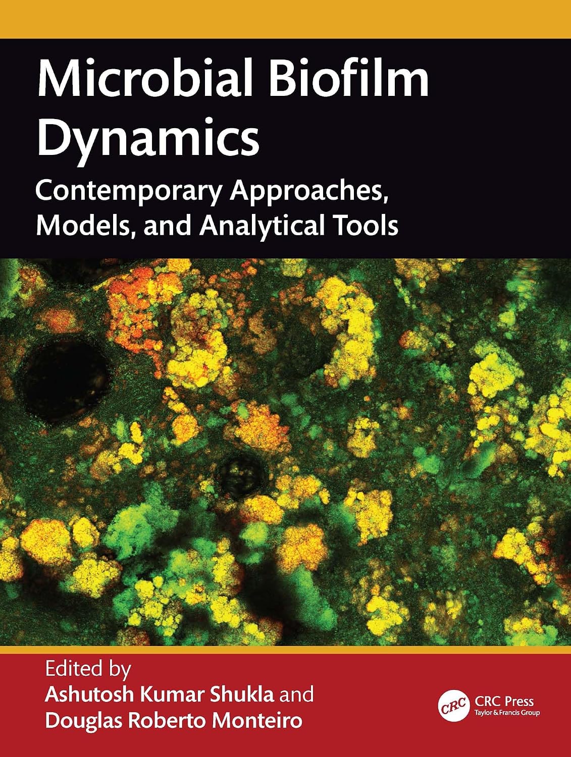 ler totalmente Microbial Biofilm Dynamics: Contemporary Approaches, Models and Analytical Tools (English Edition)