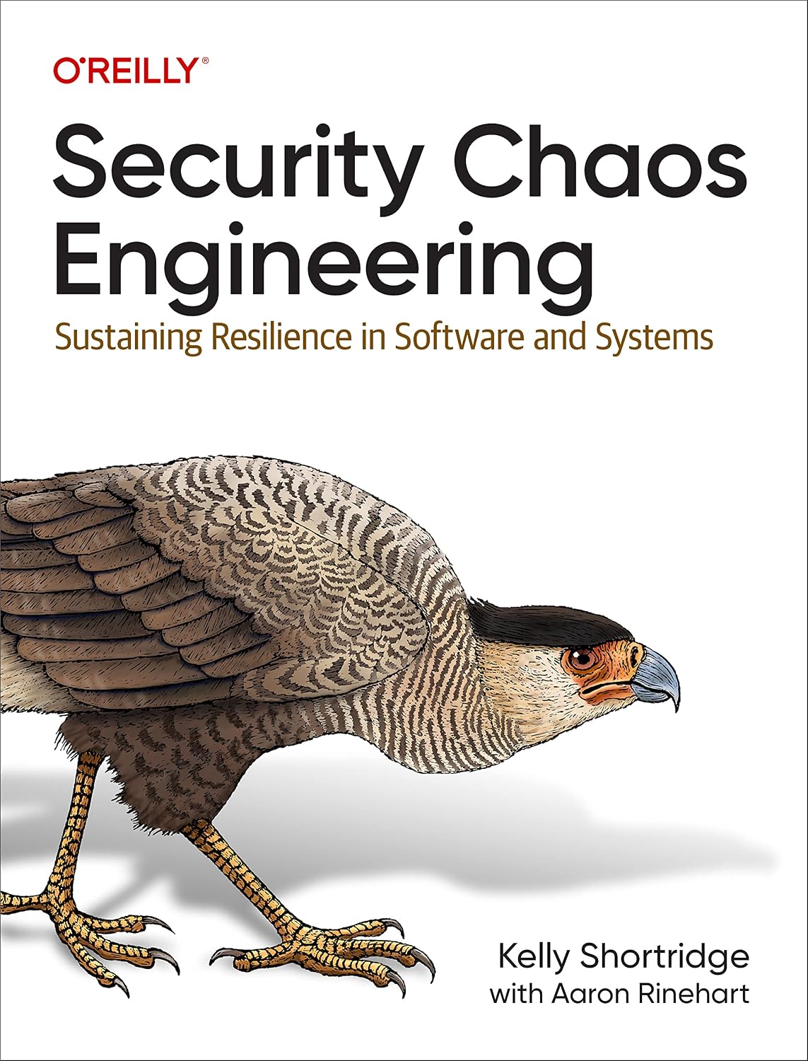 Security Chaos Engineering: Sustaining Resilience in Software and Systems baixar livro de graça