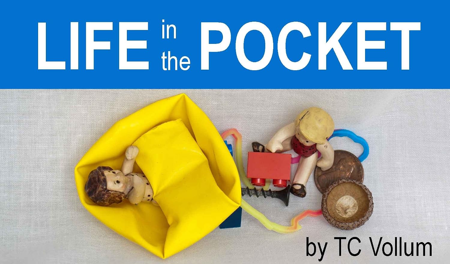 Life in the Pocket (Pocket Dolls Book 1) (English Edition) baixar livro de graça