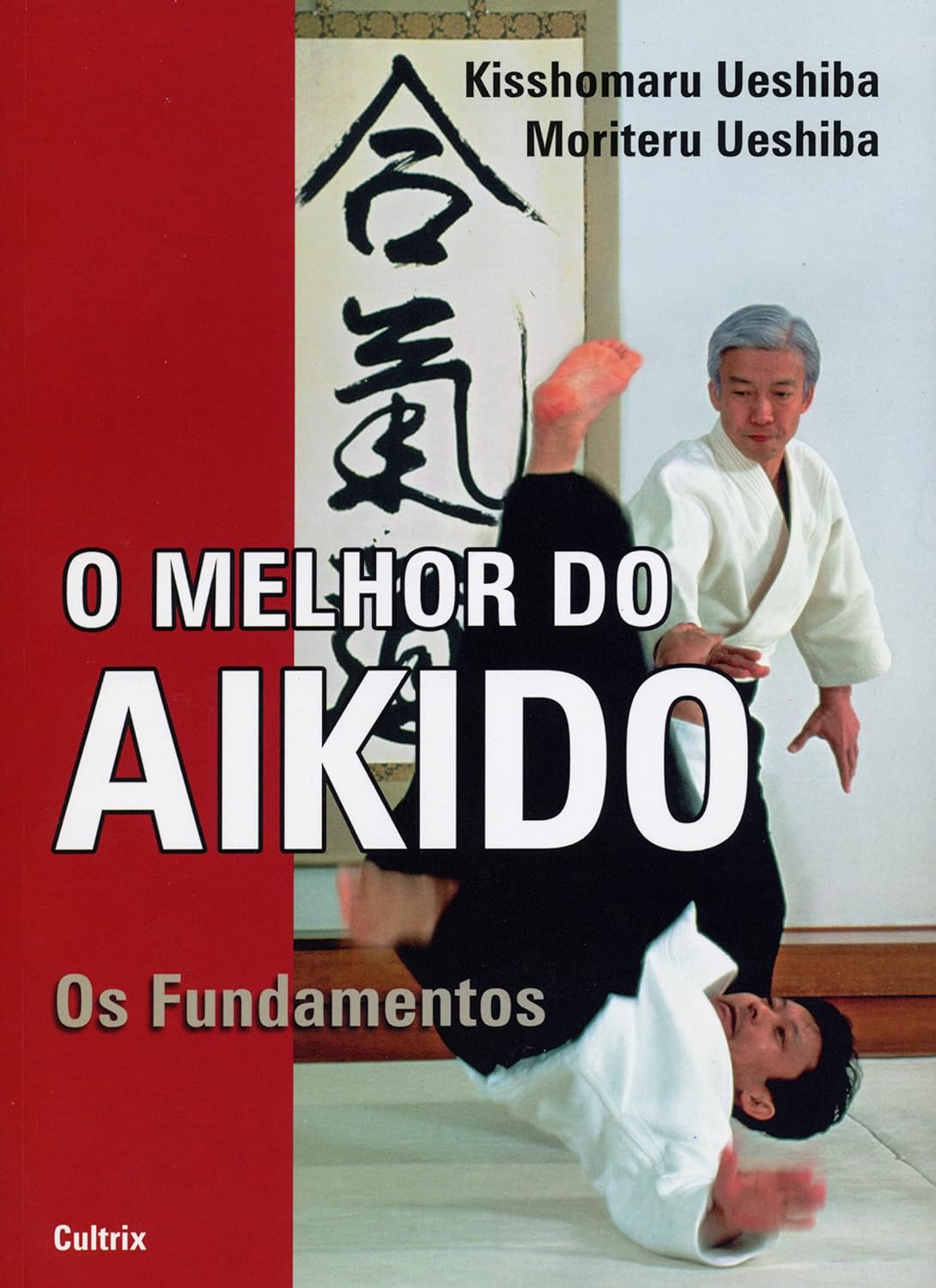 O Melhor do Aikido