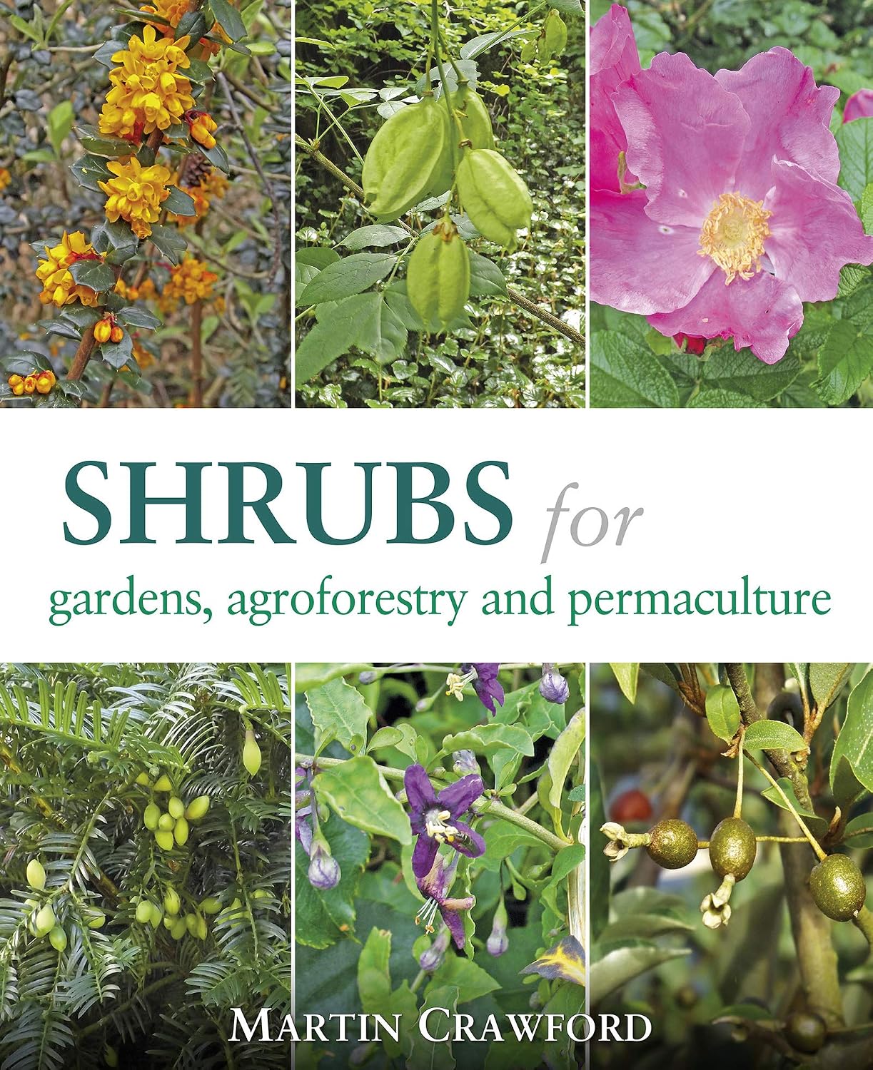ler totalmente Shrubs for Gardens, Agroforestry and Permaculture (English Edition)