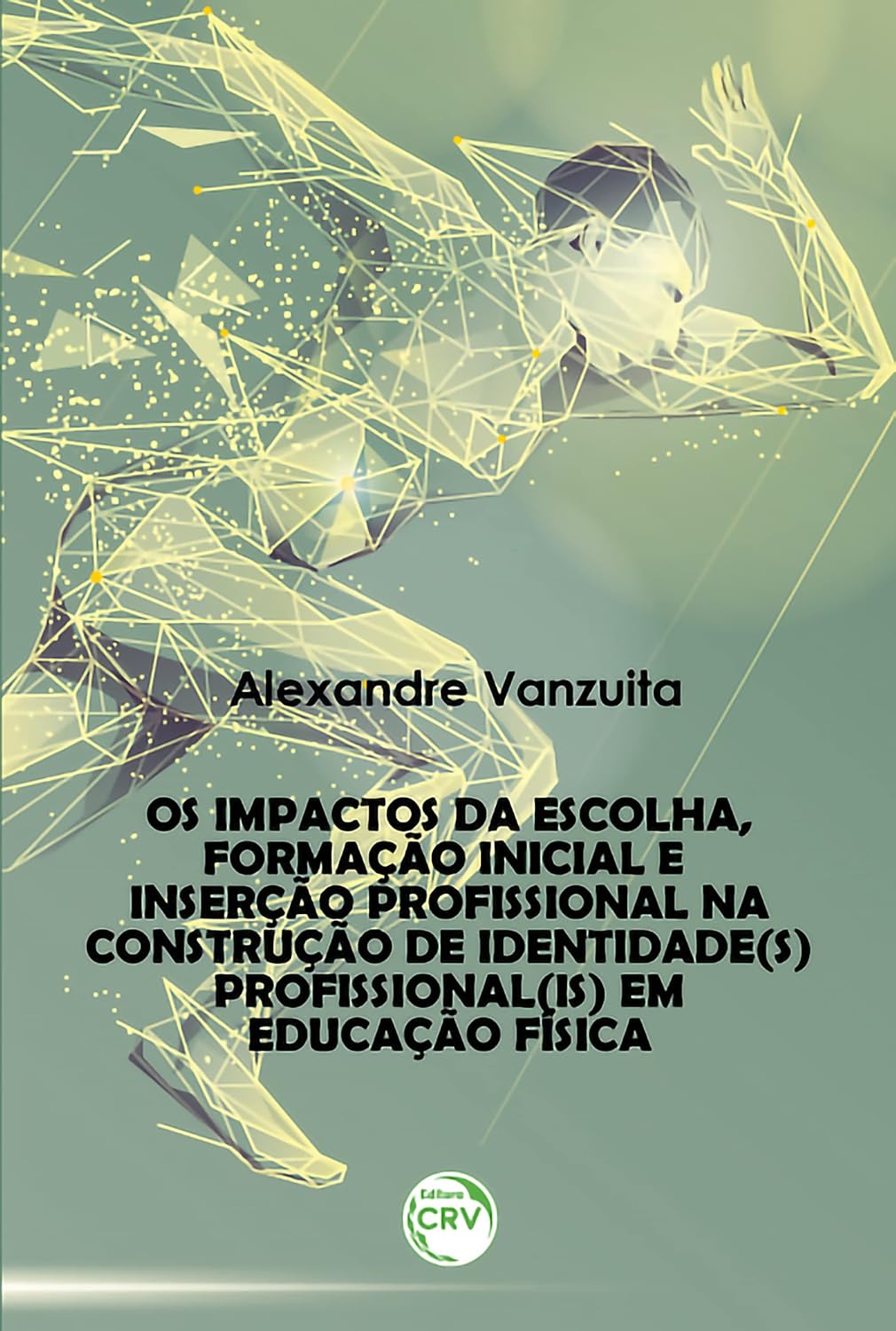 Os impactos da escolha, formação inicial e inserção profissional na construção de identidade(s) profissional(is) em educação física baixar livro de graça