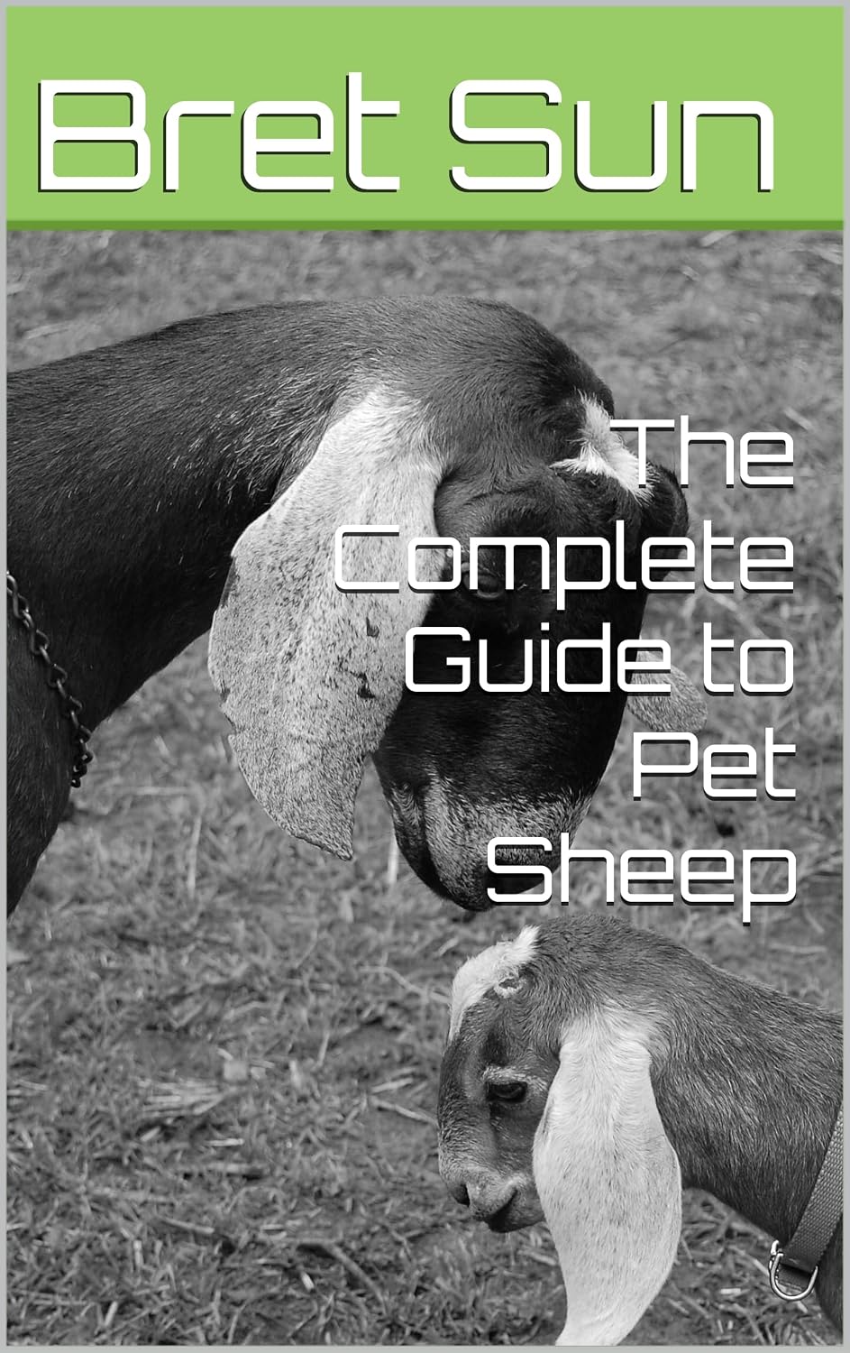 ler totalmente The Complete Guide to Pet Sheep (Pet Care Log Book 6) (English Edition)