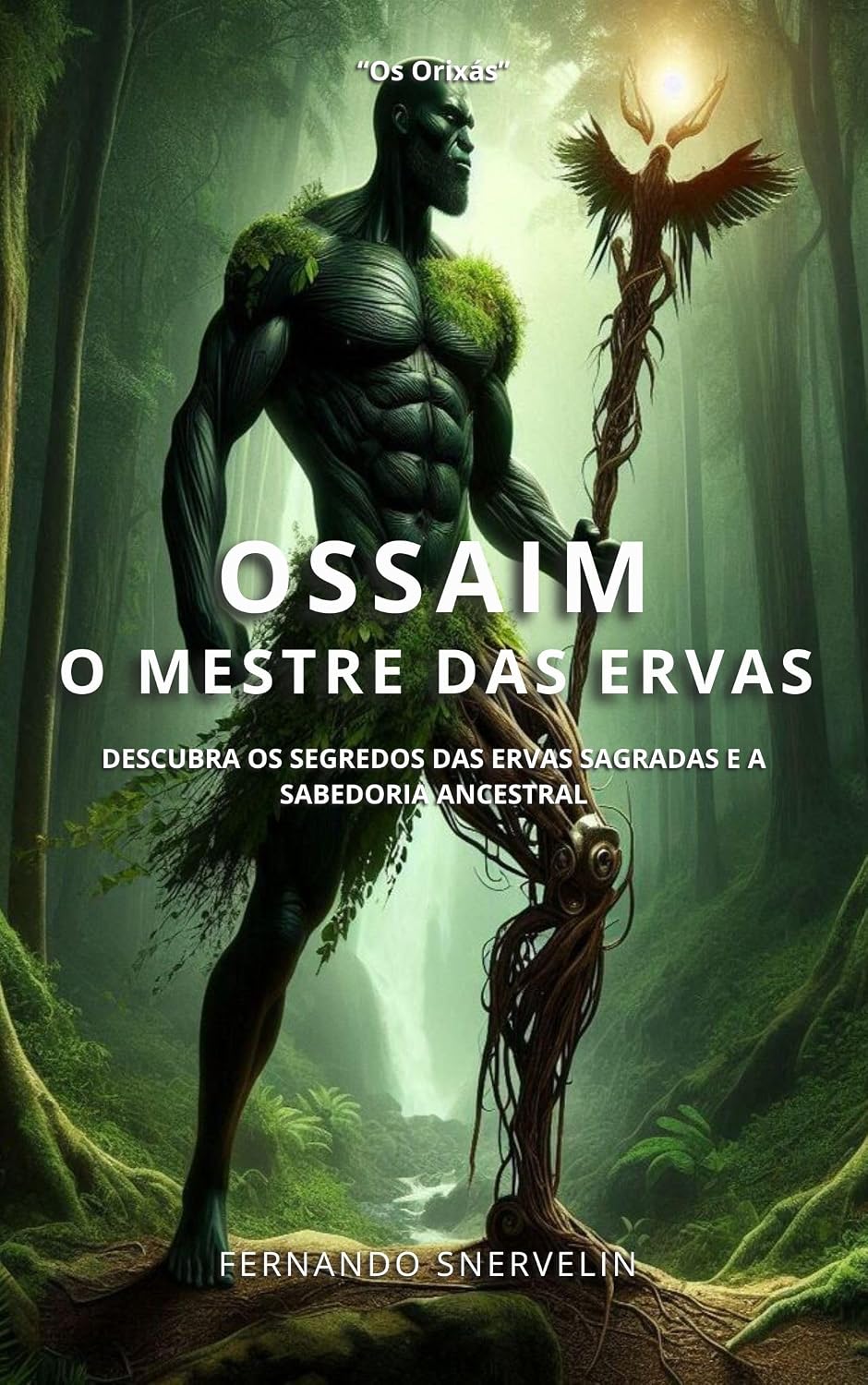 ler totalmente OSSAIM: O MESTRE DAS ERVAS (AFRO-BRASILEIRA Livro 13)